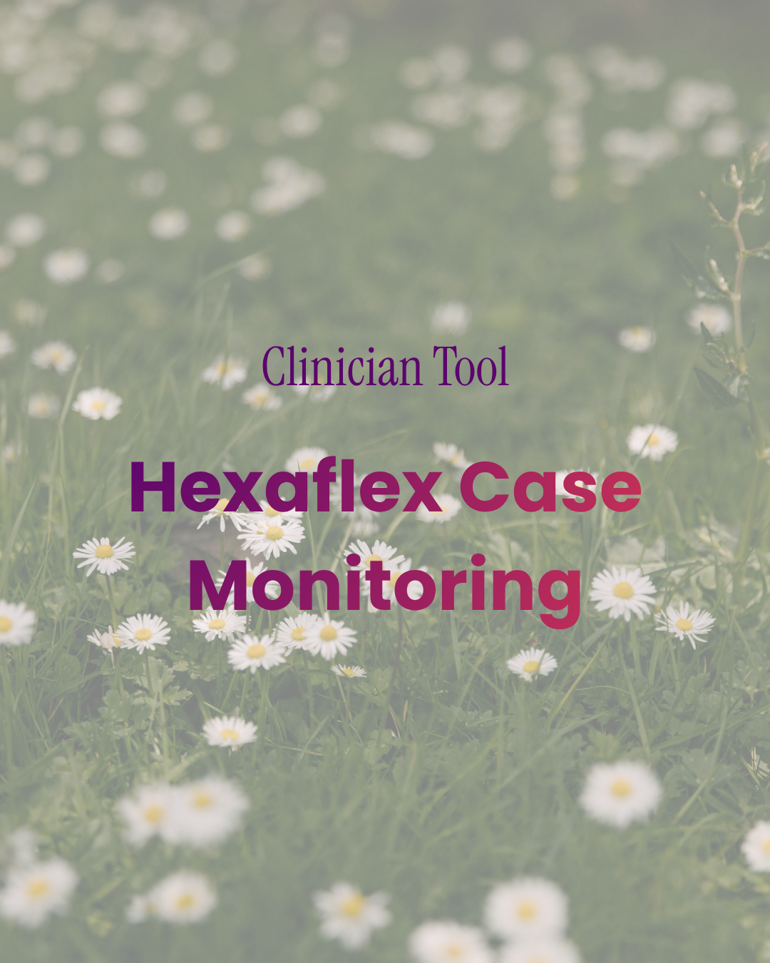 Hexaflex Case Monitoring Tool