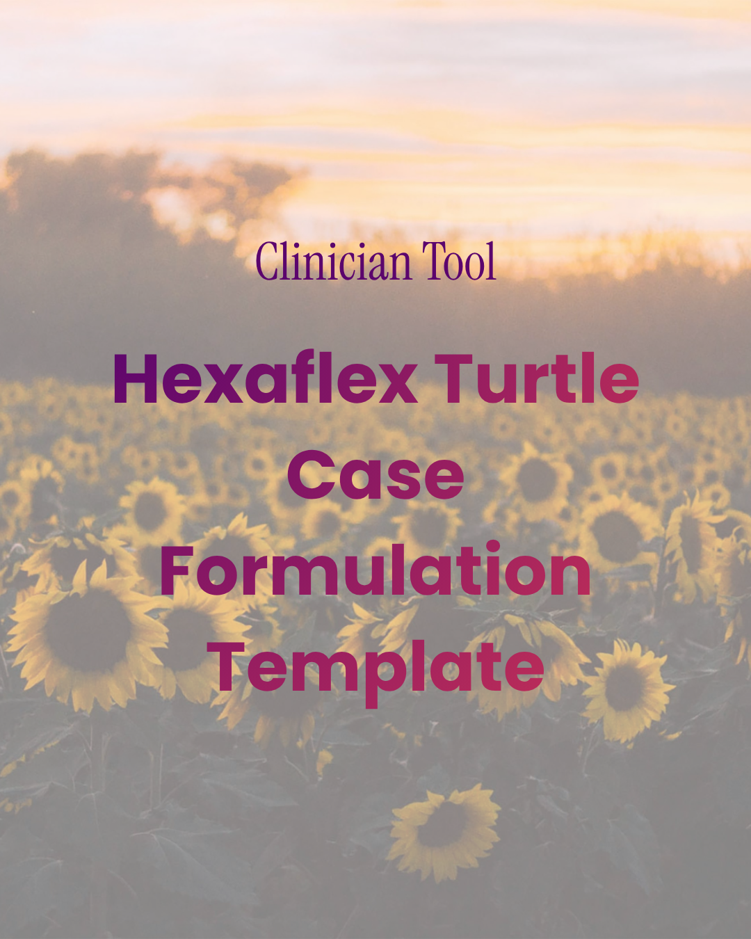 Turtle Case Formulation Tool