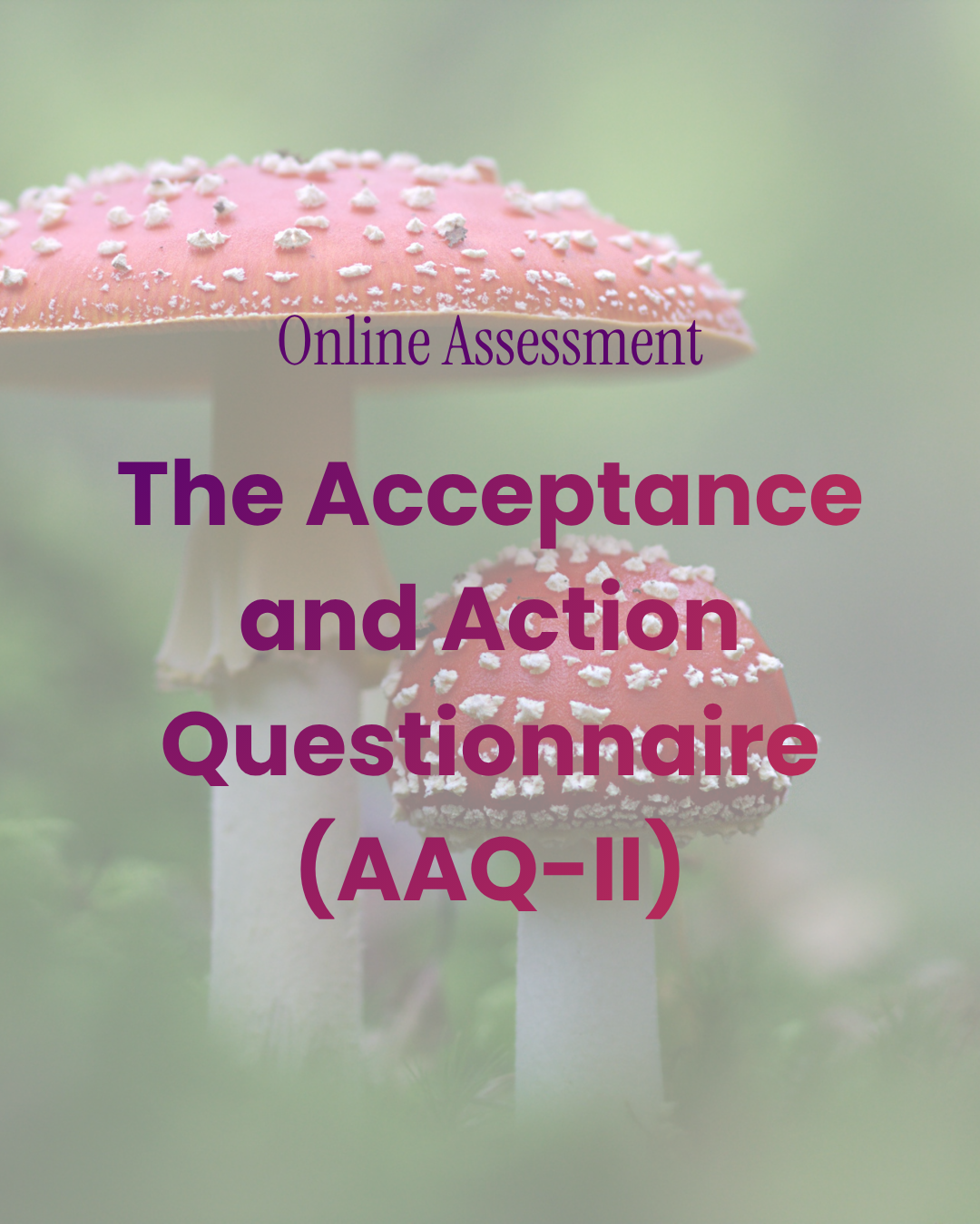 AAQ-II Flexibility Tracker