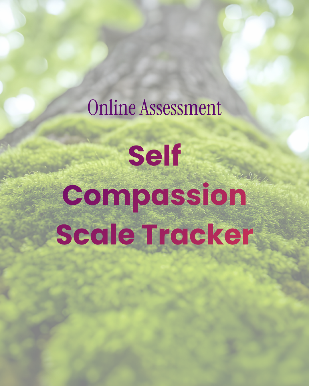 Self Compassion Scale Tracker