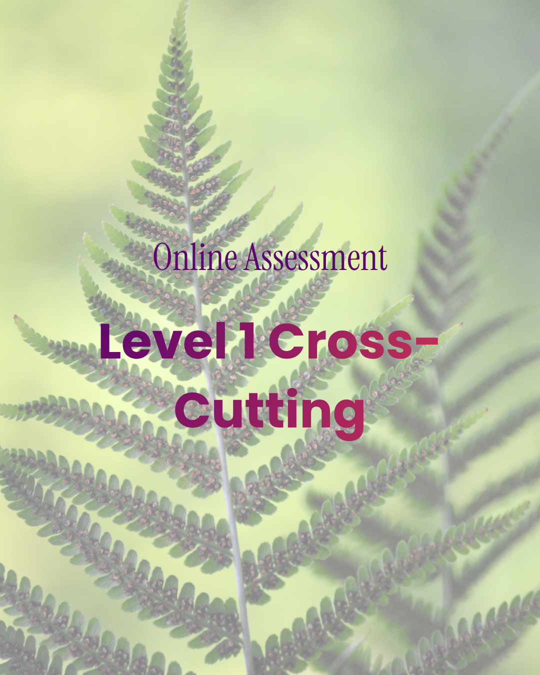 Level 1 Cross-Cutting Symptom Measure