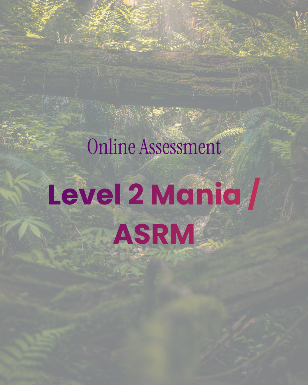 Level 2 Altman Self-Rating Mania Scale