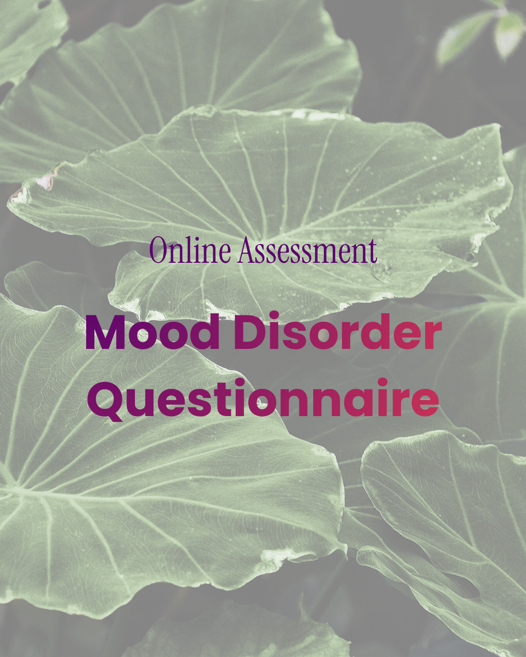 Mood Disorder Questionnaire