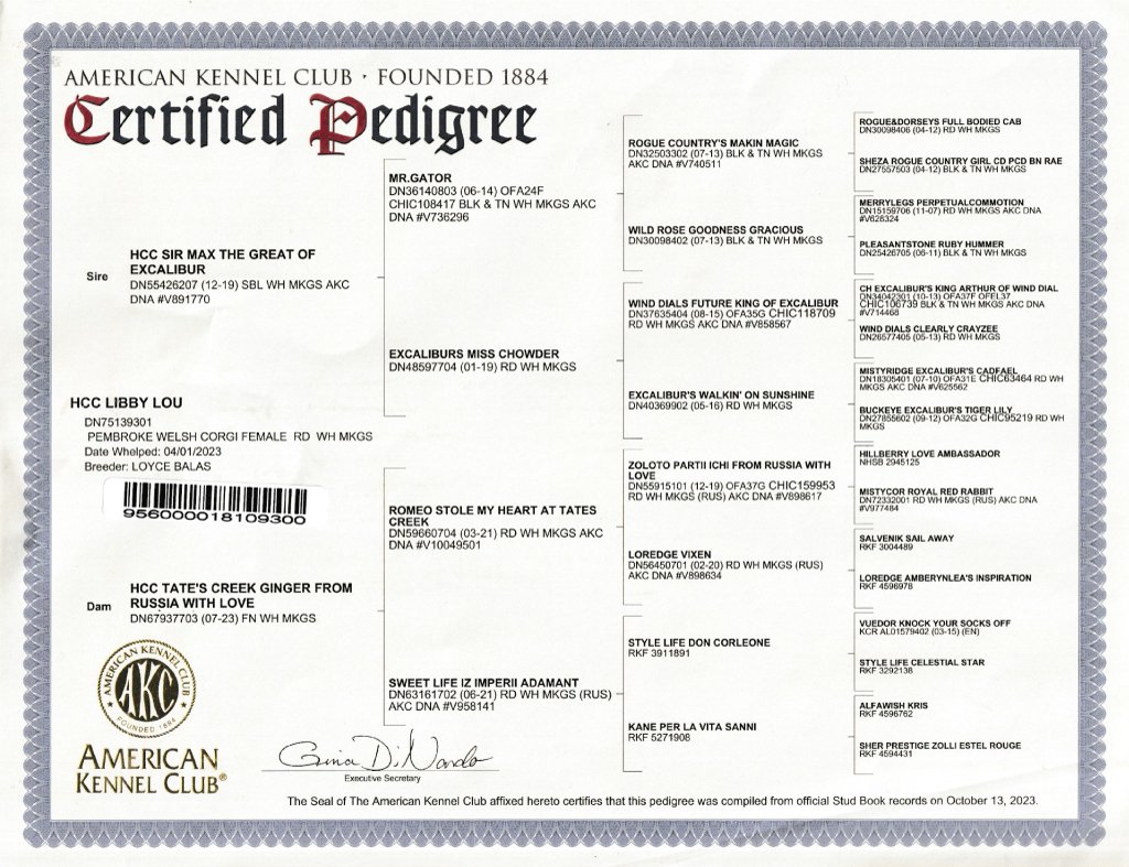 Libby-Pedigree.jpg
