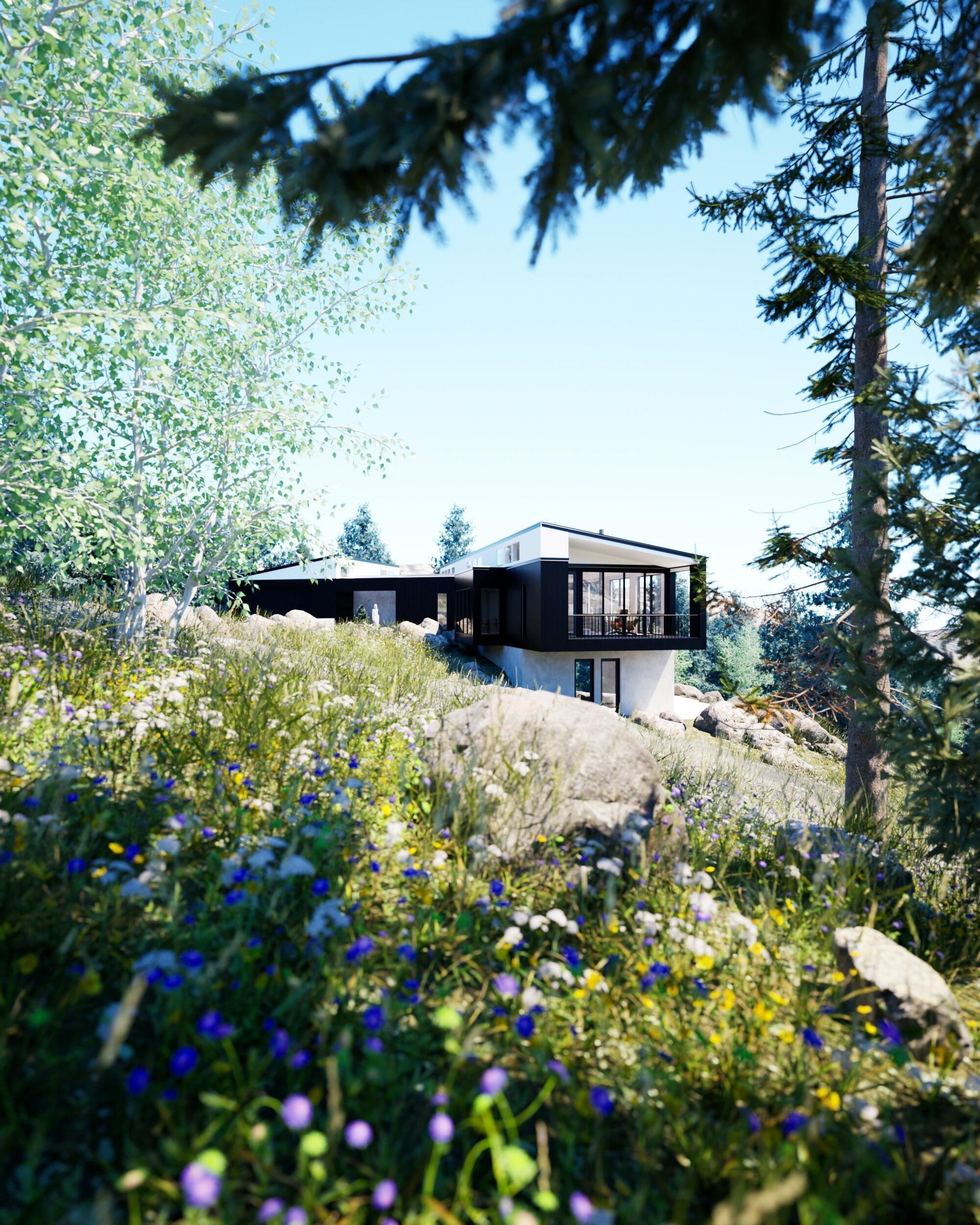 Ridge Road House Single Family Residential
| Nederland, Colorado