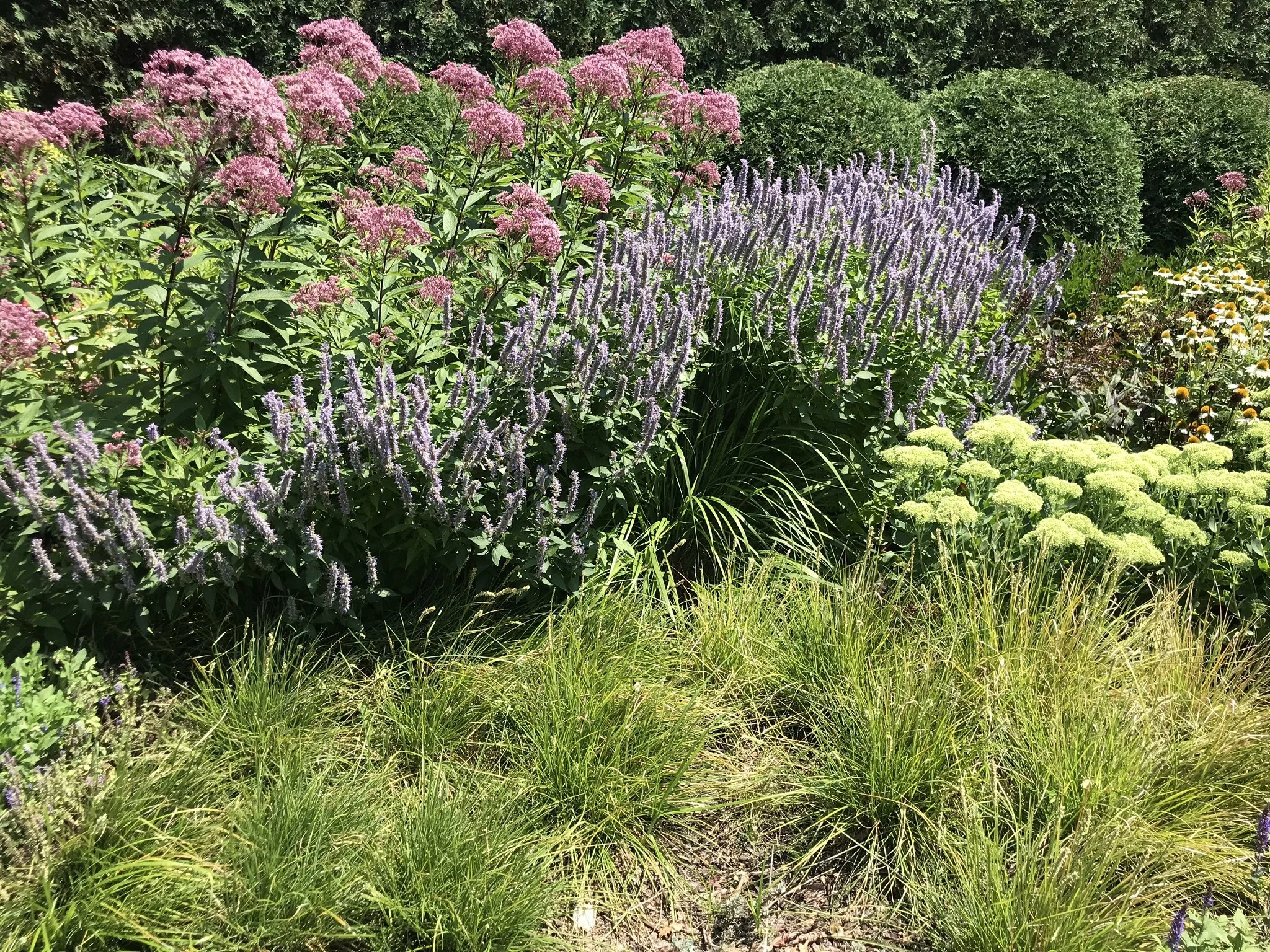 IMG_4295 (1).JPEG