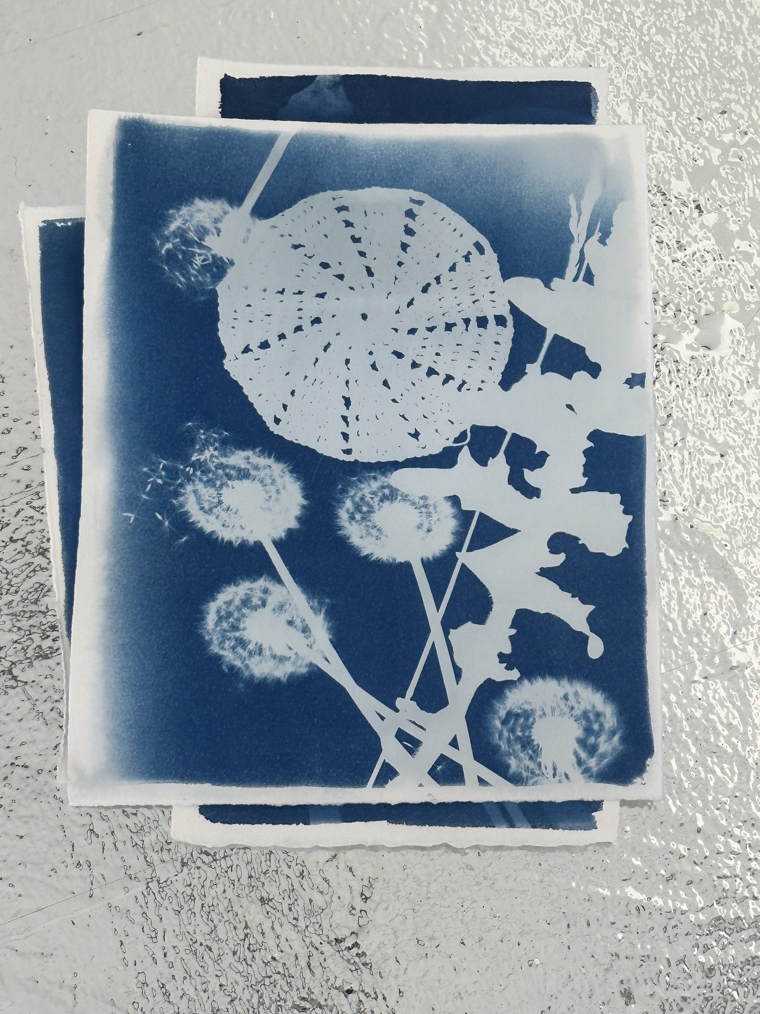 IMG_1068.jpeg