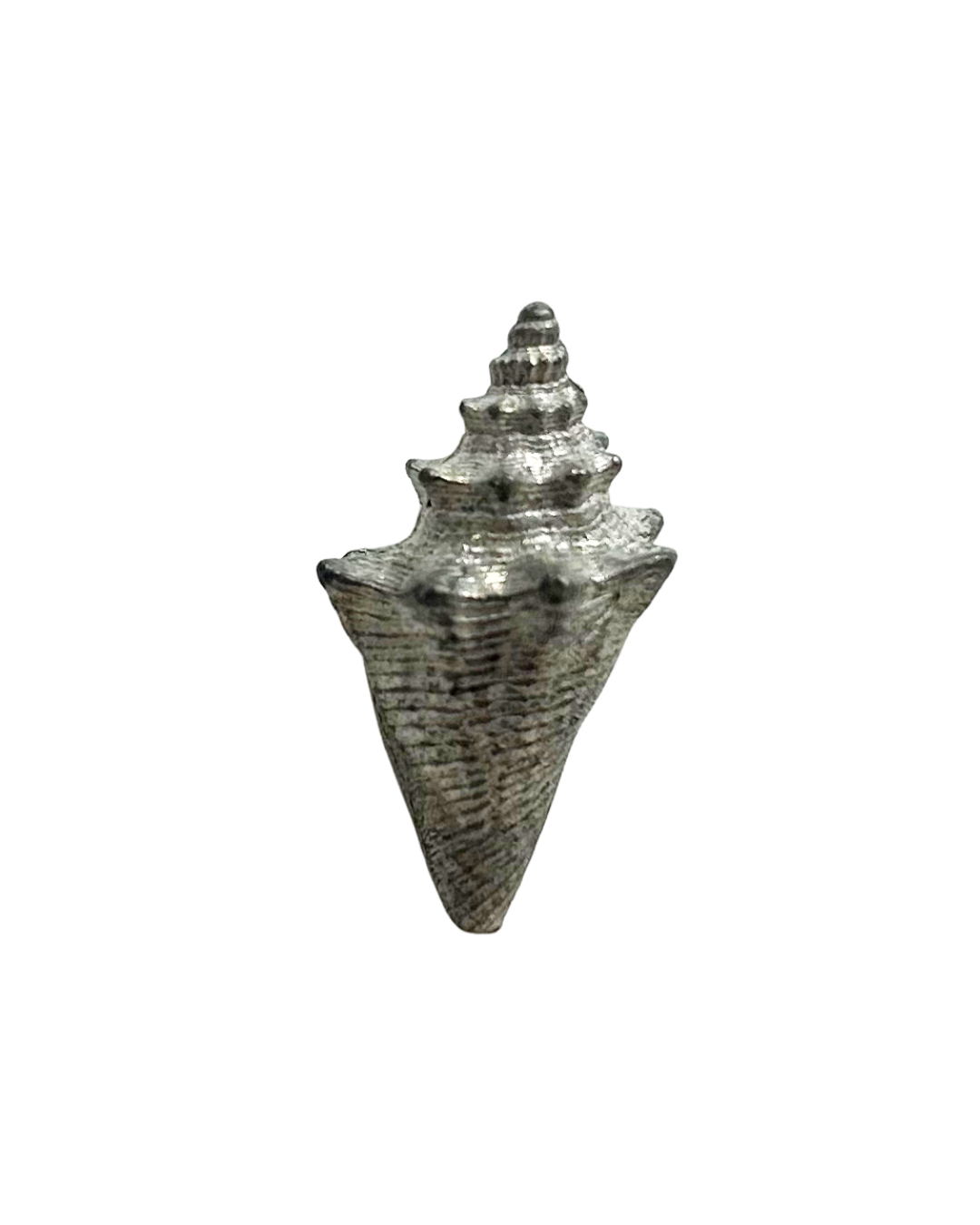 Silver Conch Shell ~ ADD ON ONLY