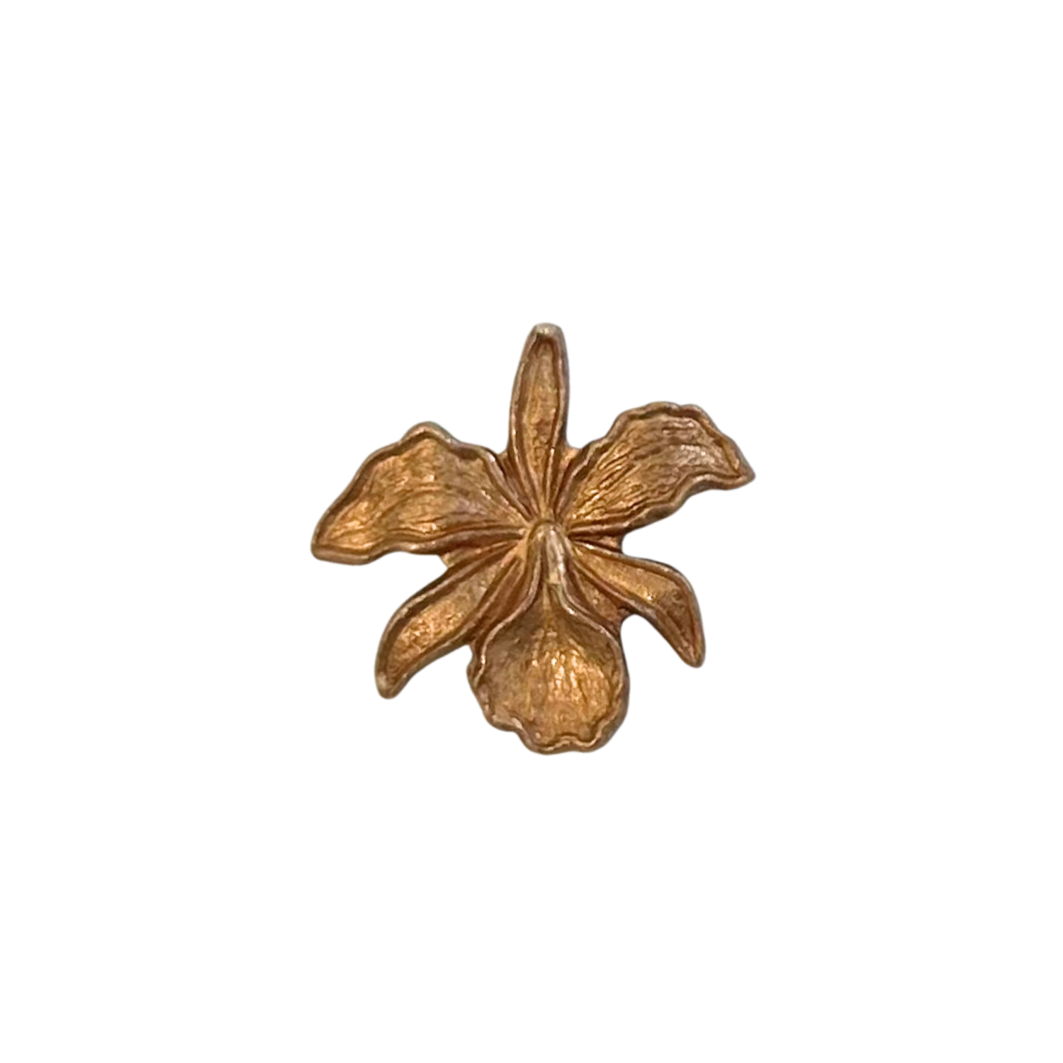 Brass Orchid ~ ADD ON ONLY