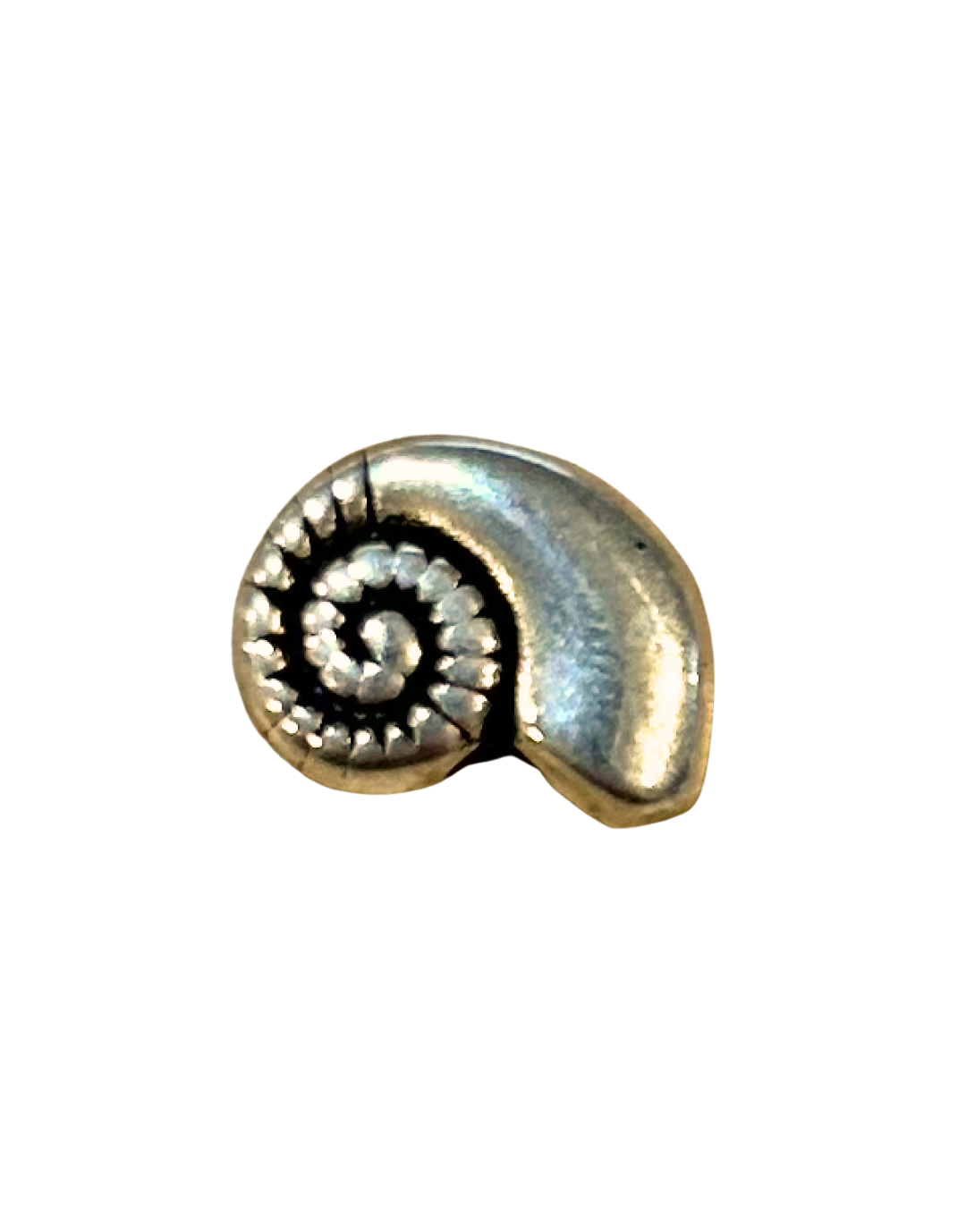 Miniature Nautilus Bead ~ ADD ON ONLY