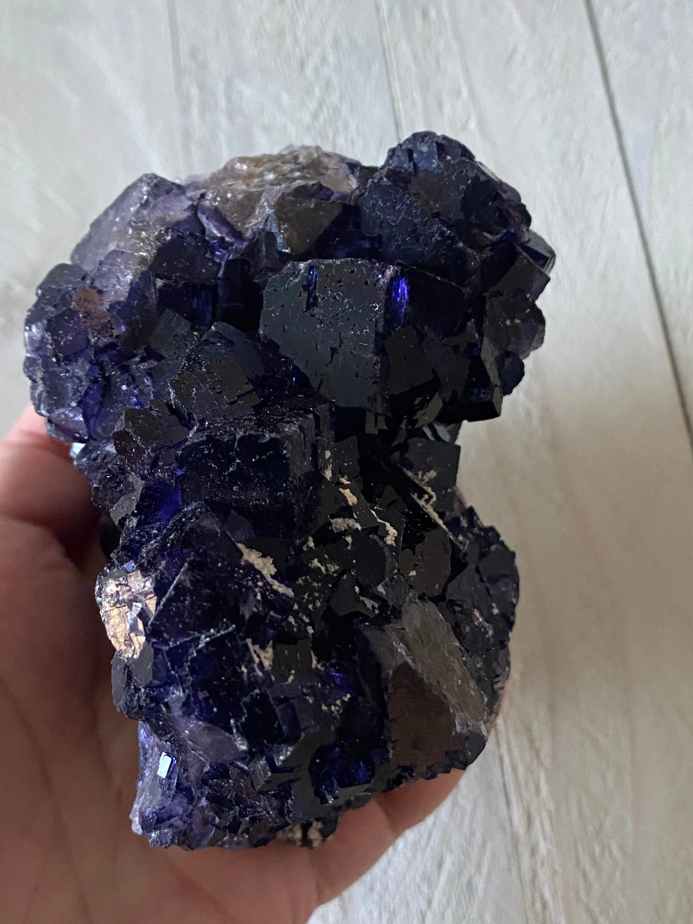 https://i.etsystatic.com/10136869/r/il/1866ec/3063960036/il_fullxfull.3063960036_3e1n.jpg