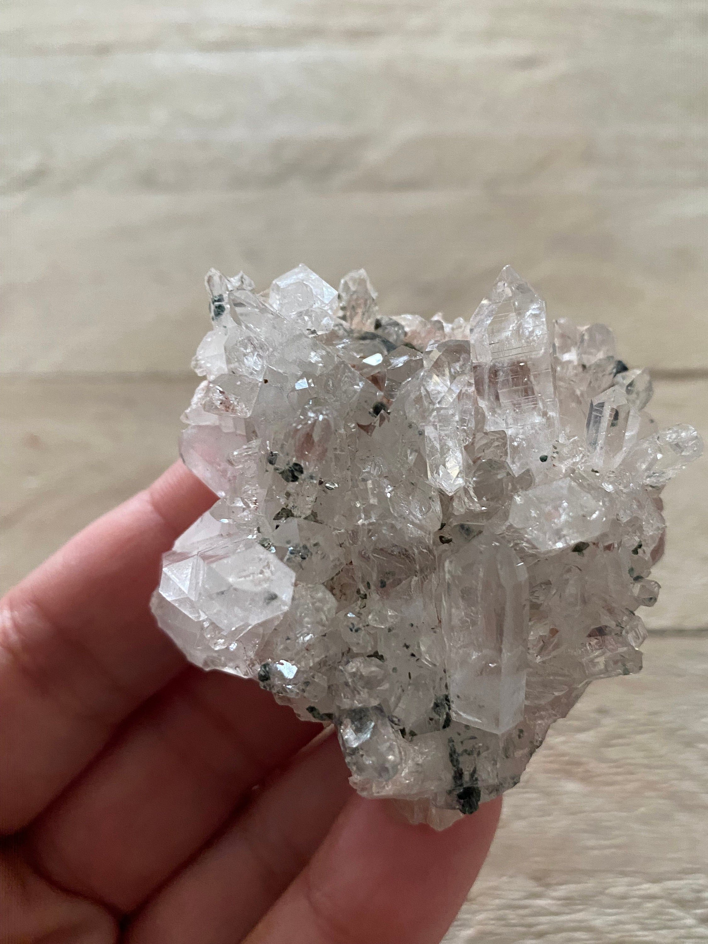 https://i.etsystatic.com/10136869/r/il/1e0d19/5251658010/il_fullxfull.5251658010_7ltk.jpg