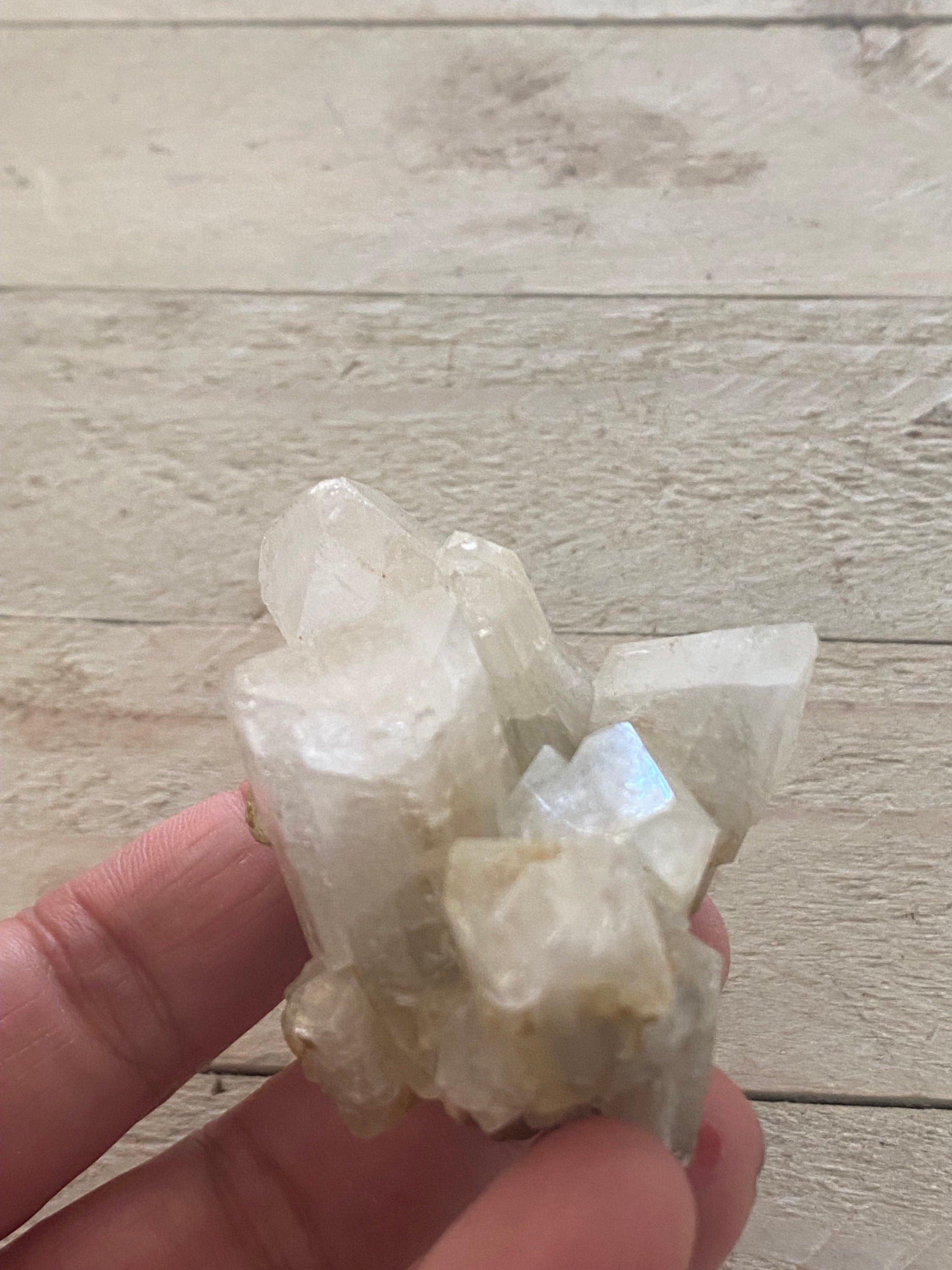 https://i.etsystatic.com/10136869/r/il/8b92fa/5249023582/il_fullxfull.5249023582_ri1g.jpg