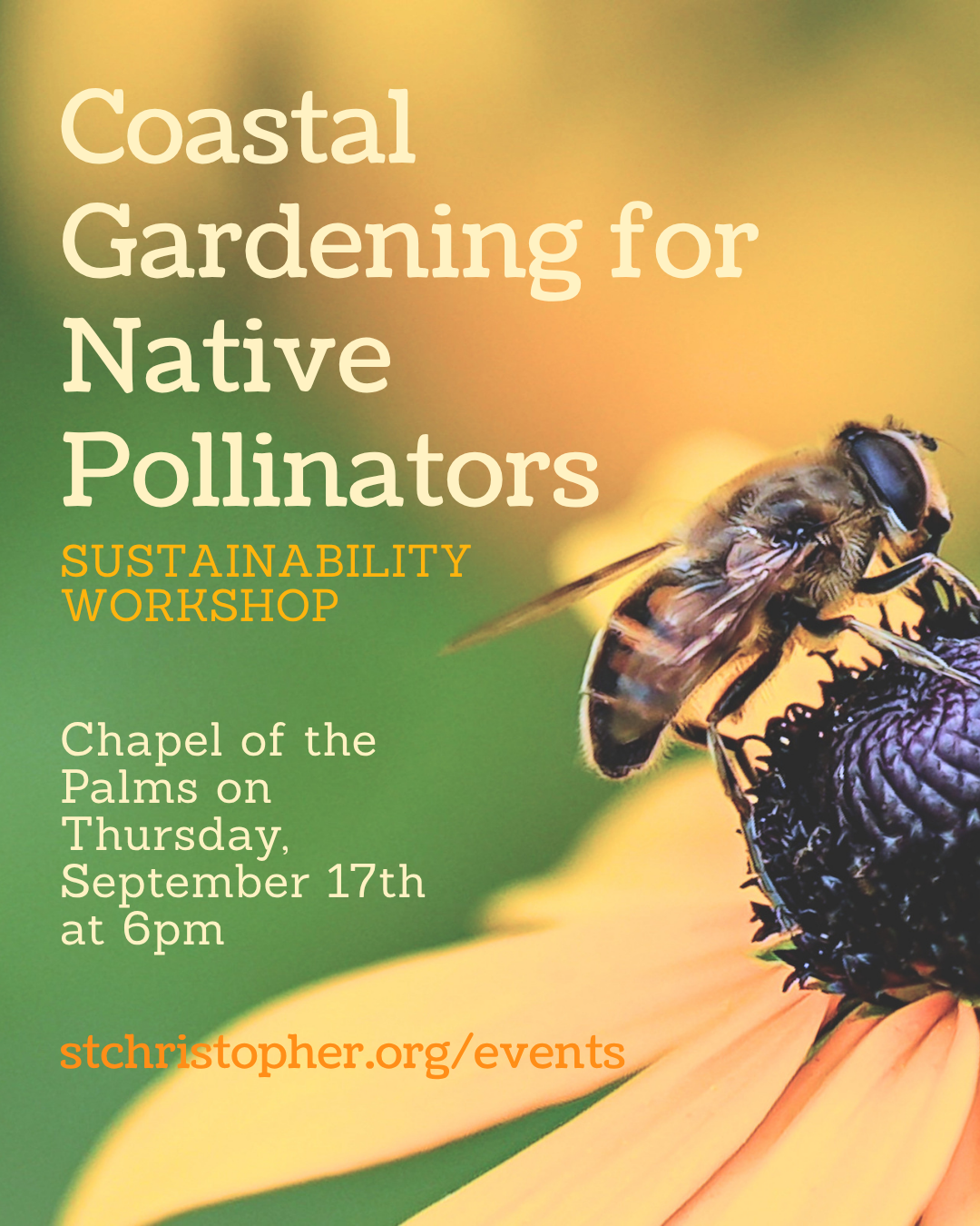 Sustainability Workshop