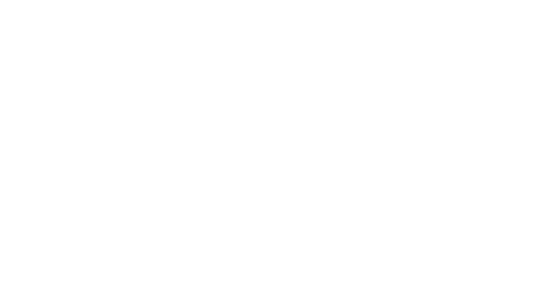 united-nations.png