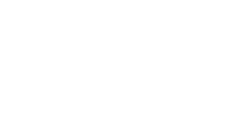 netjets.png