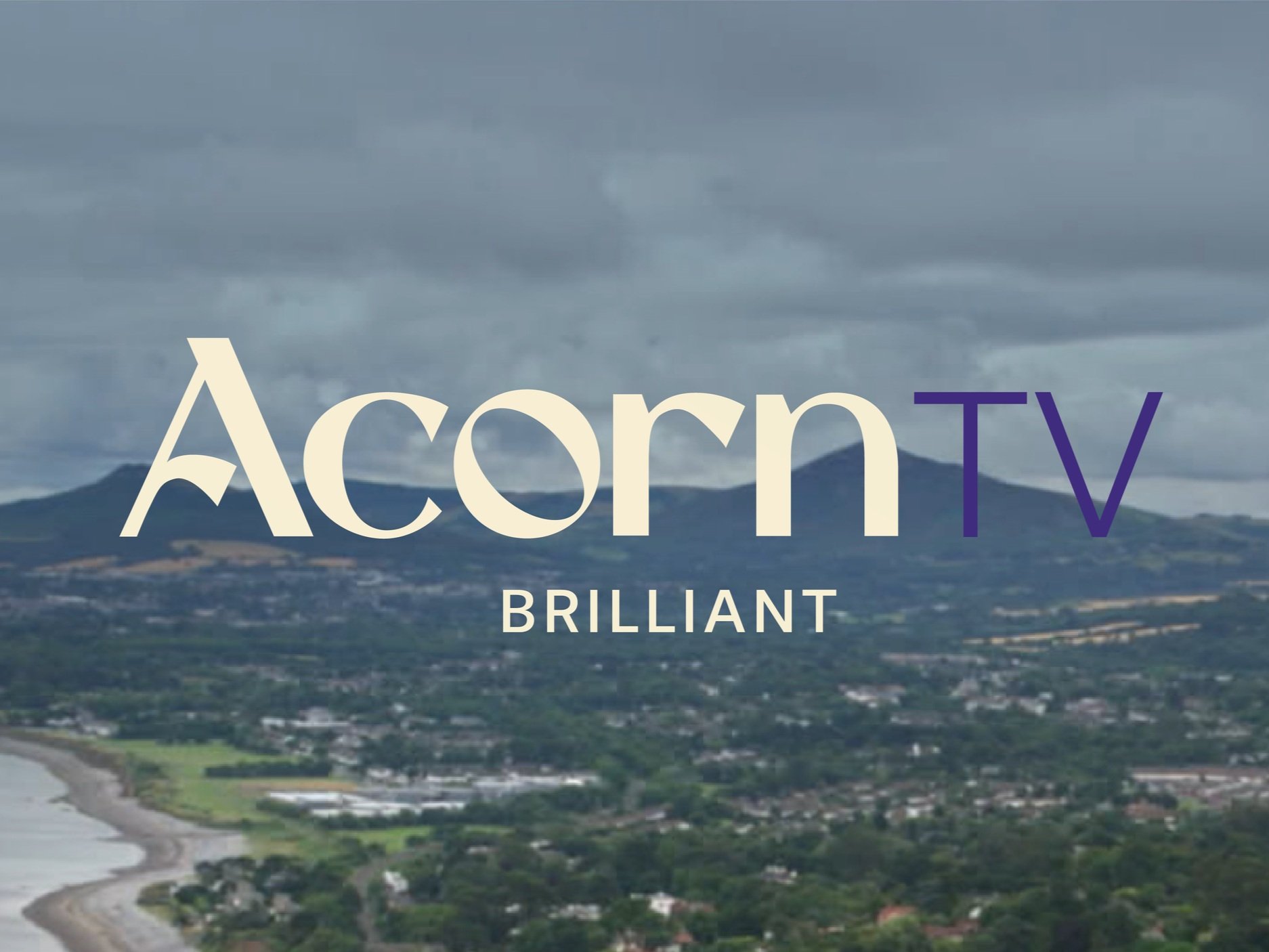 Acorn_LogoandColor_090623_InANutshell-B-04.jpg