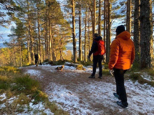 Stikk UT! Vinter starter 1.desember