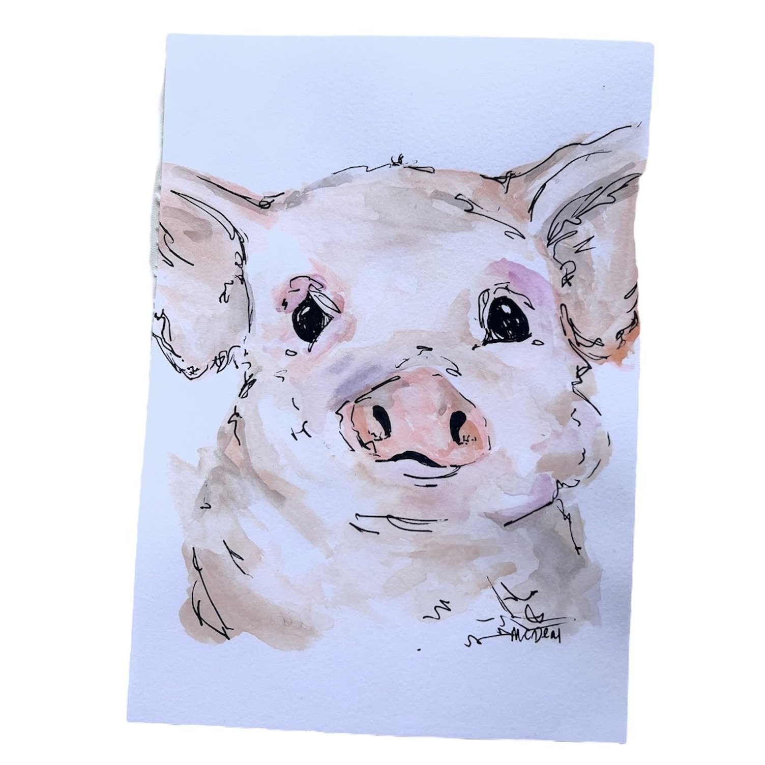 Piglet