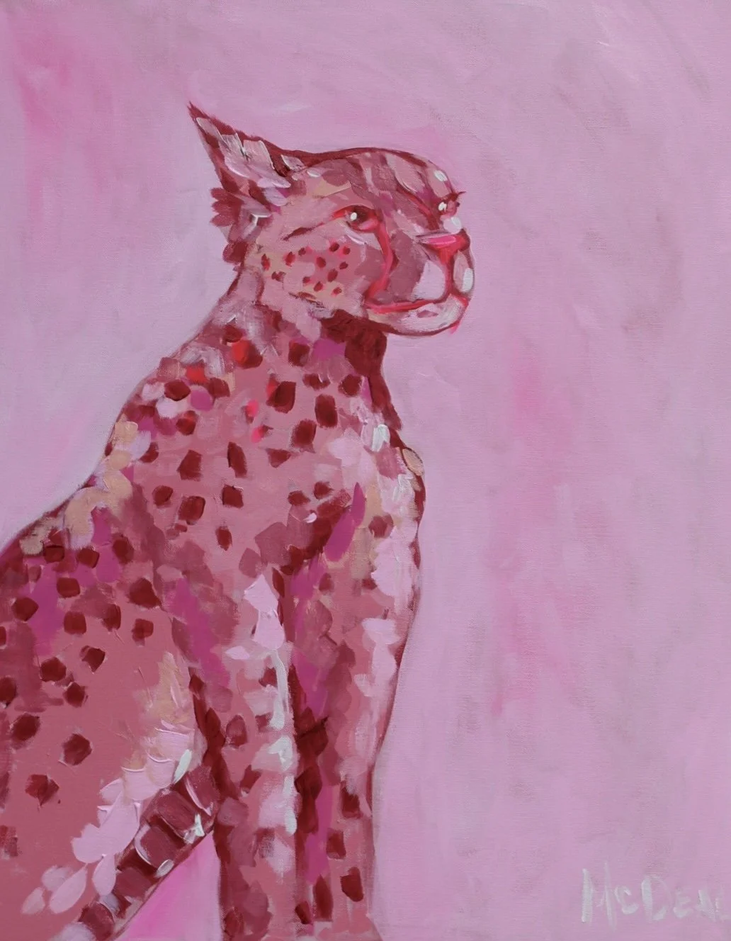 cheetah.jpg