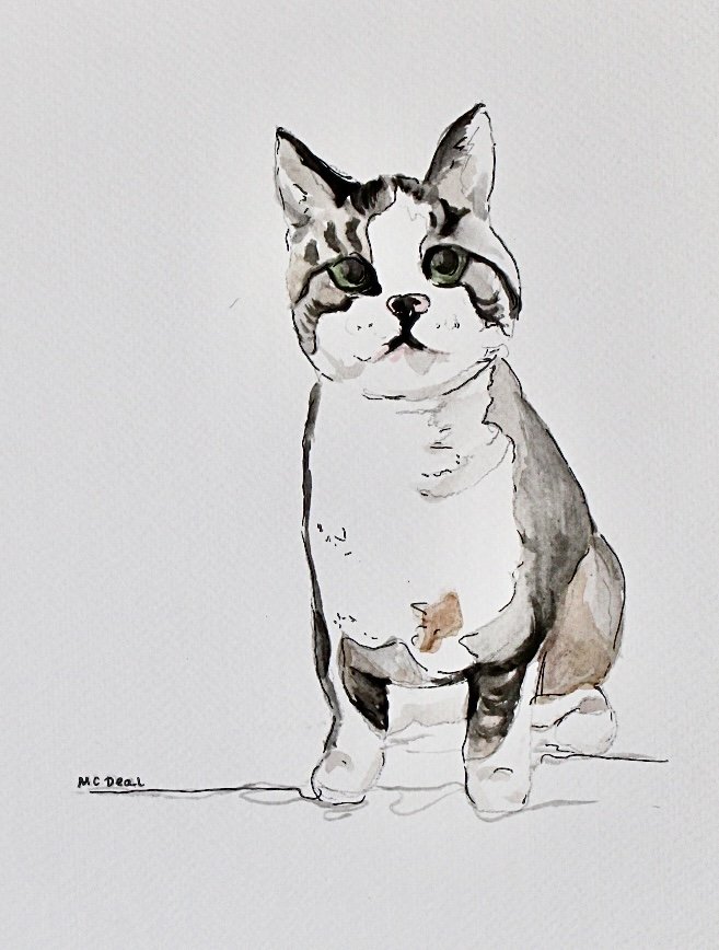 Water Color Pets