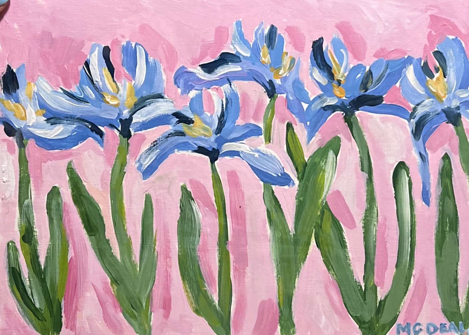 Blue on Pink