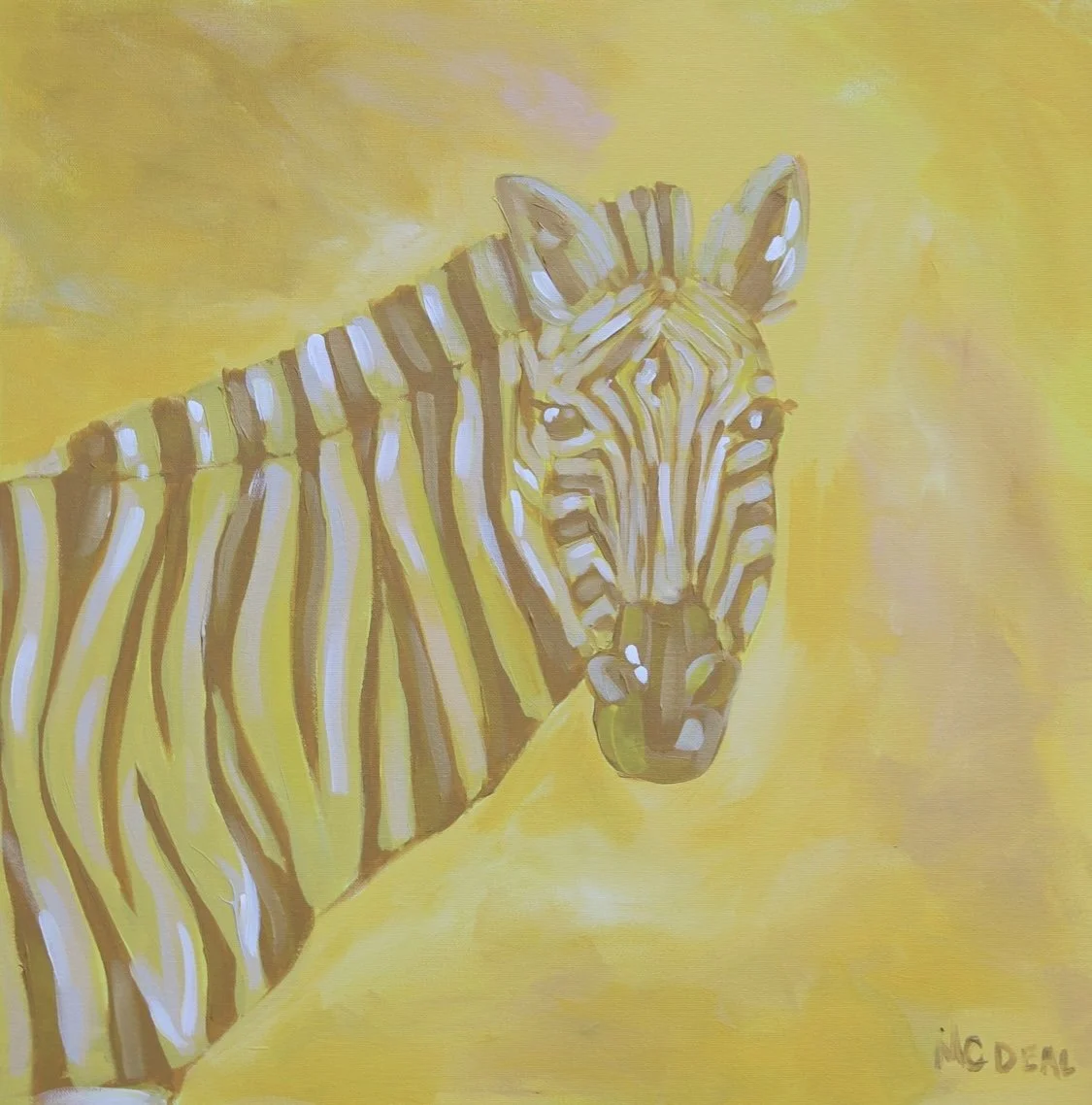 Zebra