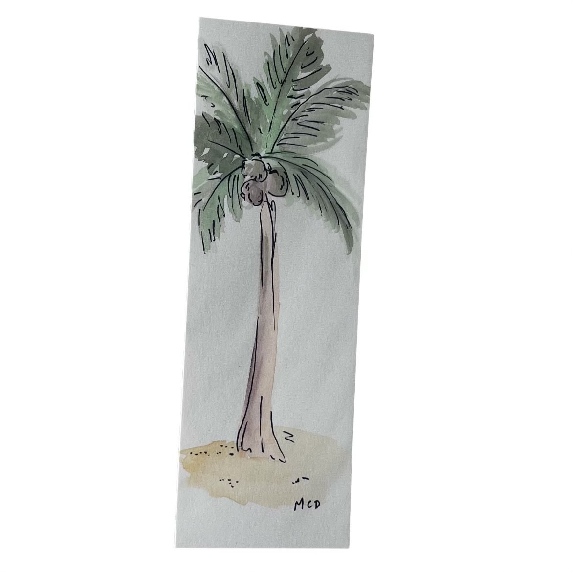 Palm Tree