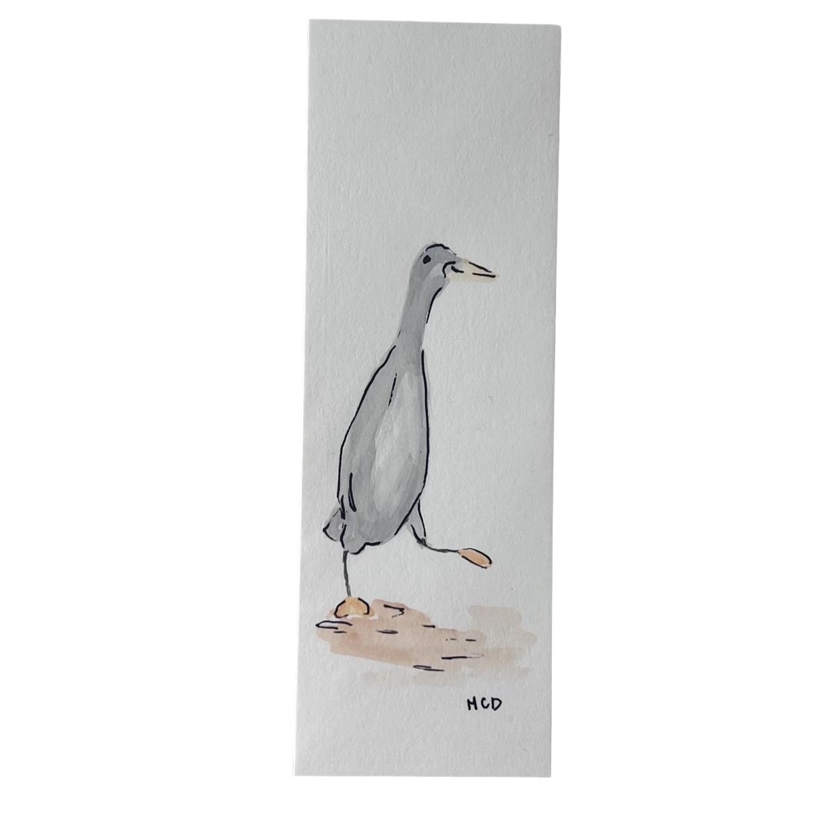 Duck