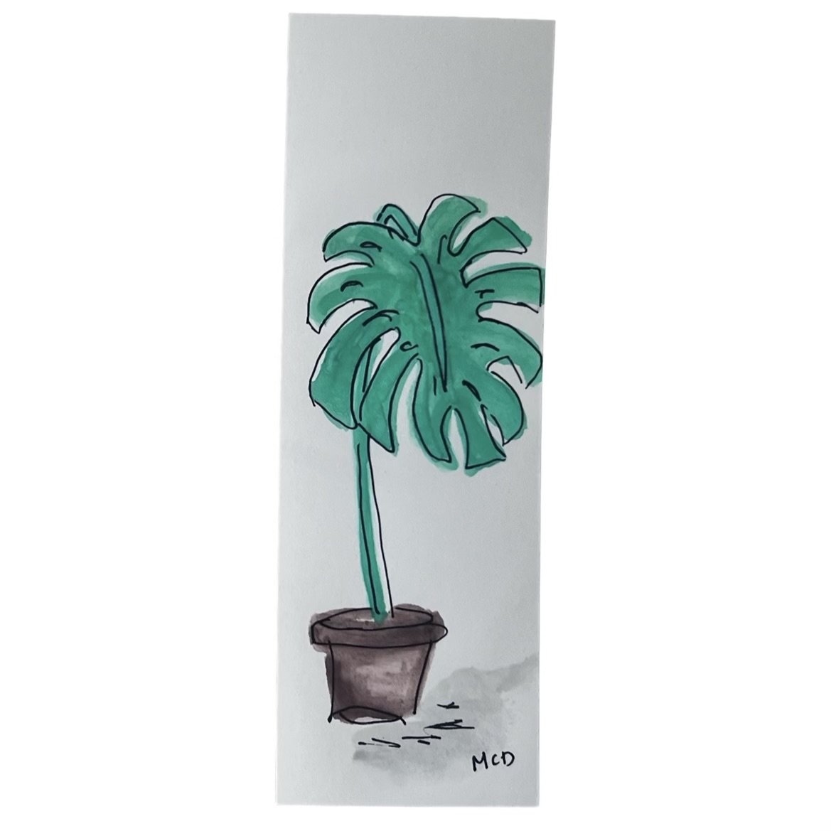 Monstera