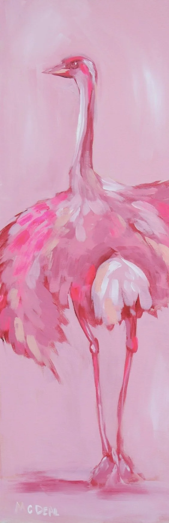 ostrich.jpg