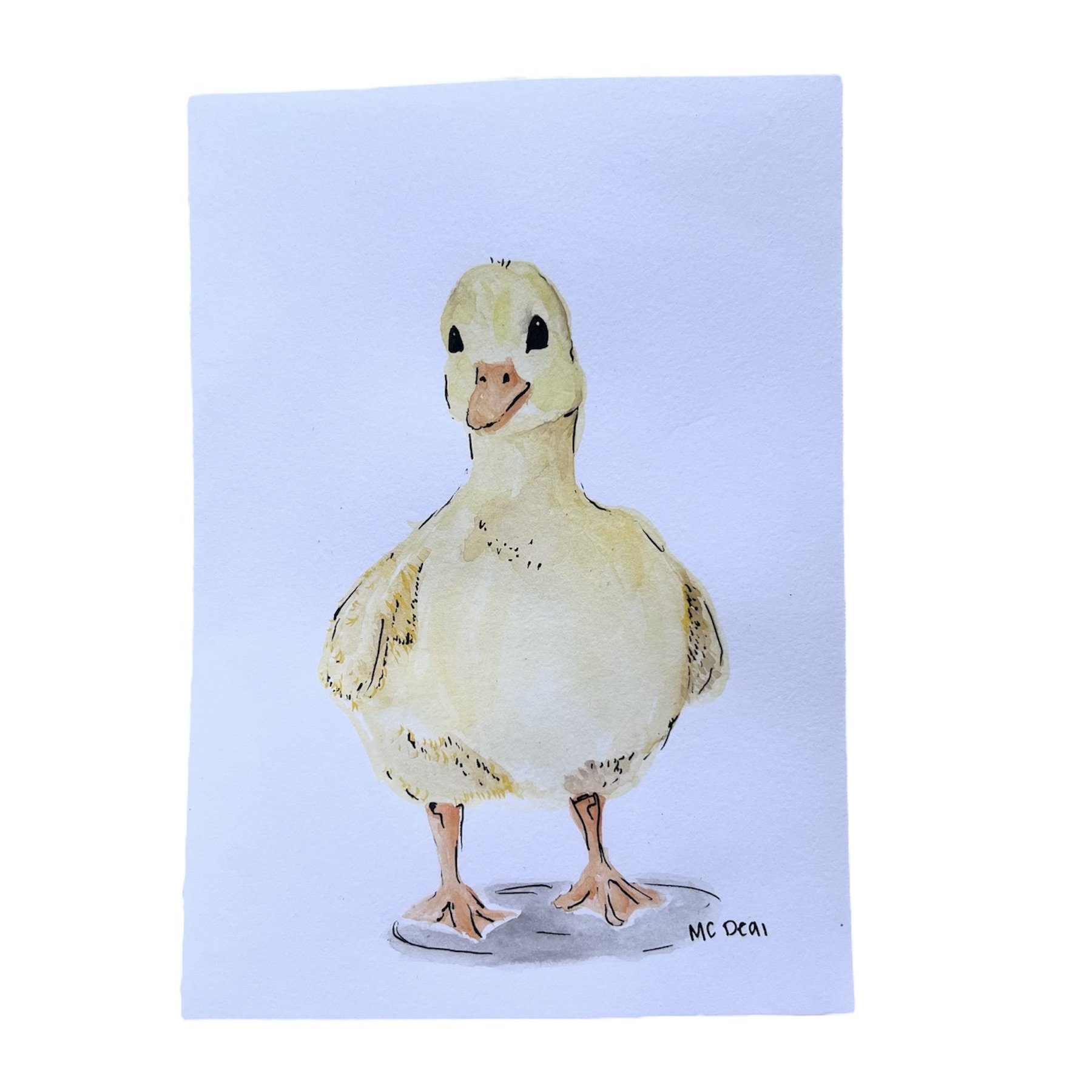 Duckling