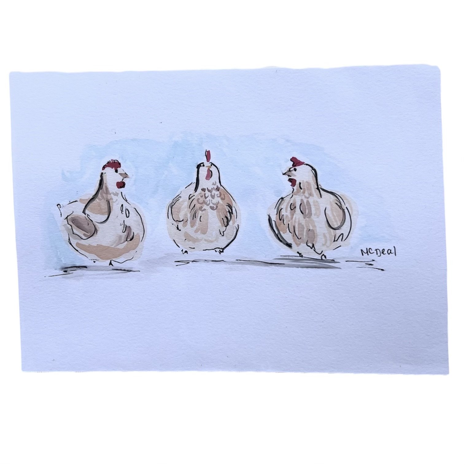 Chickens