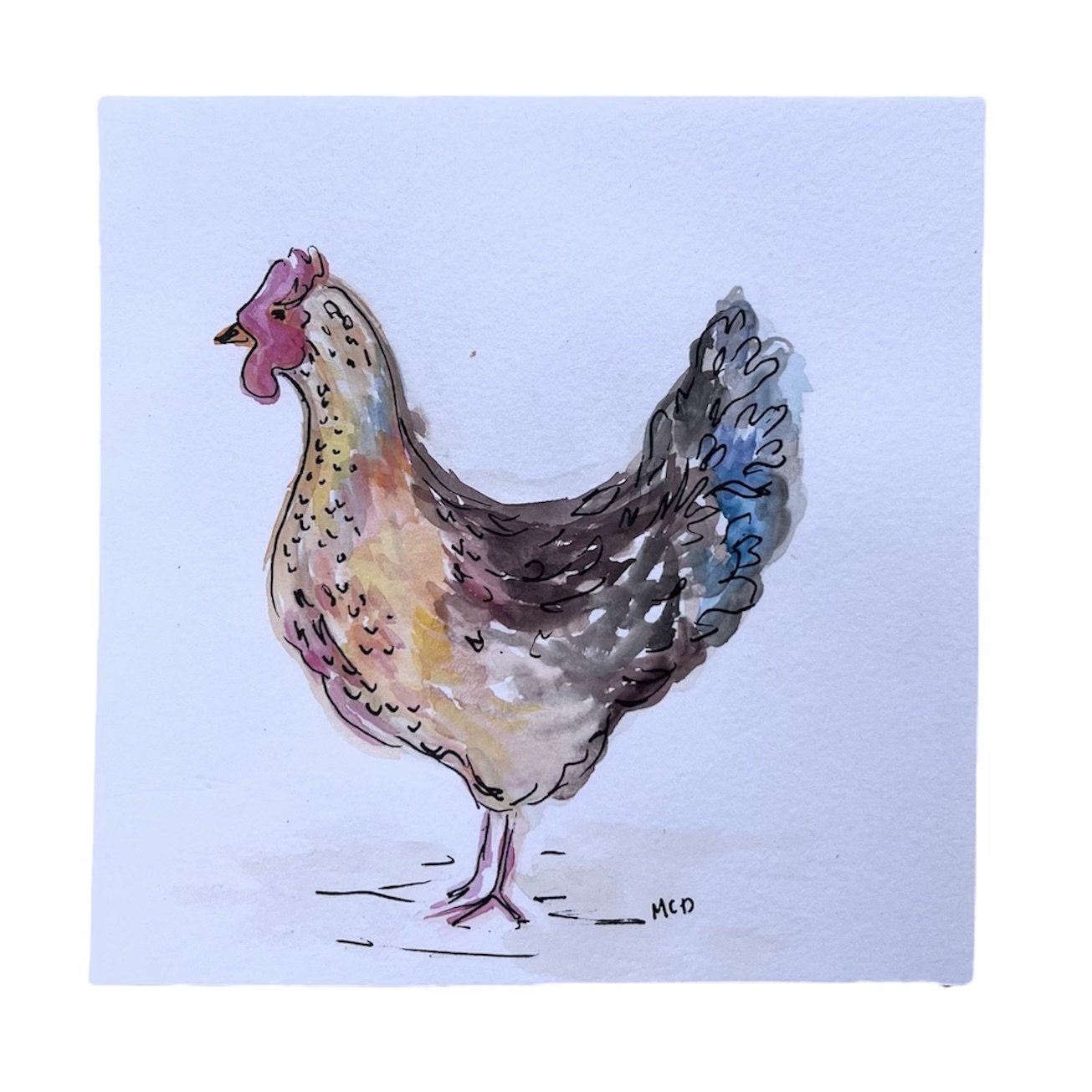 Chicken