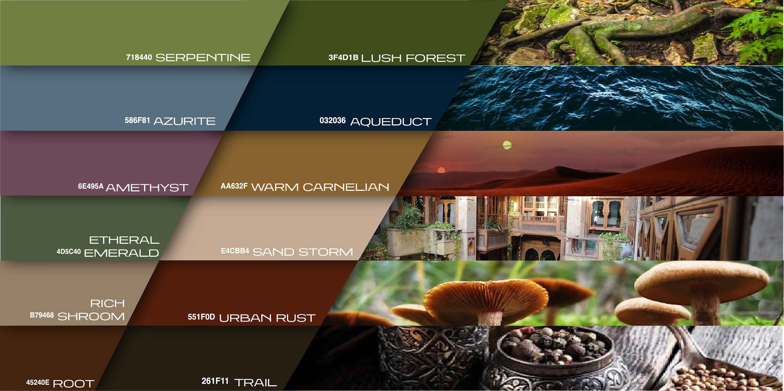 Final Fashion Forecast Slides_Page_10.jpg