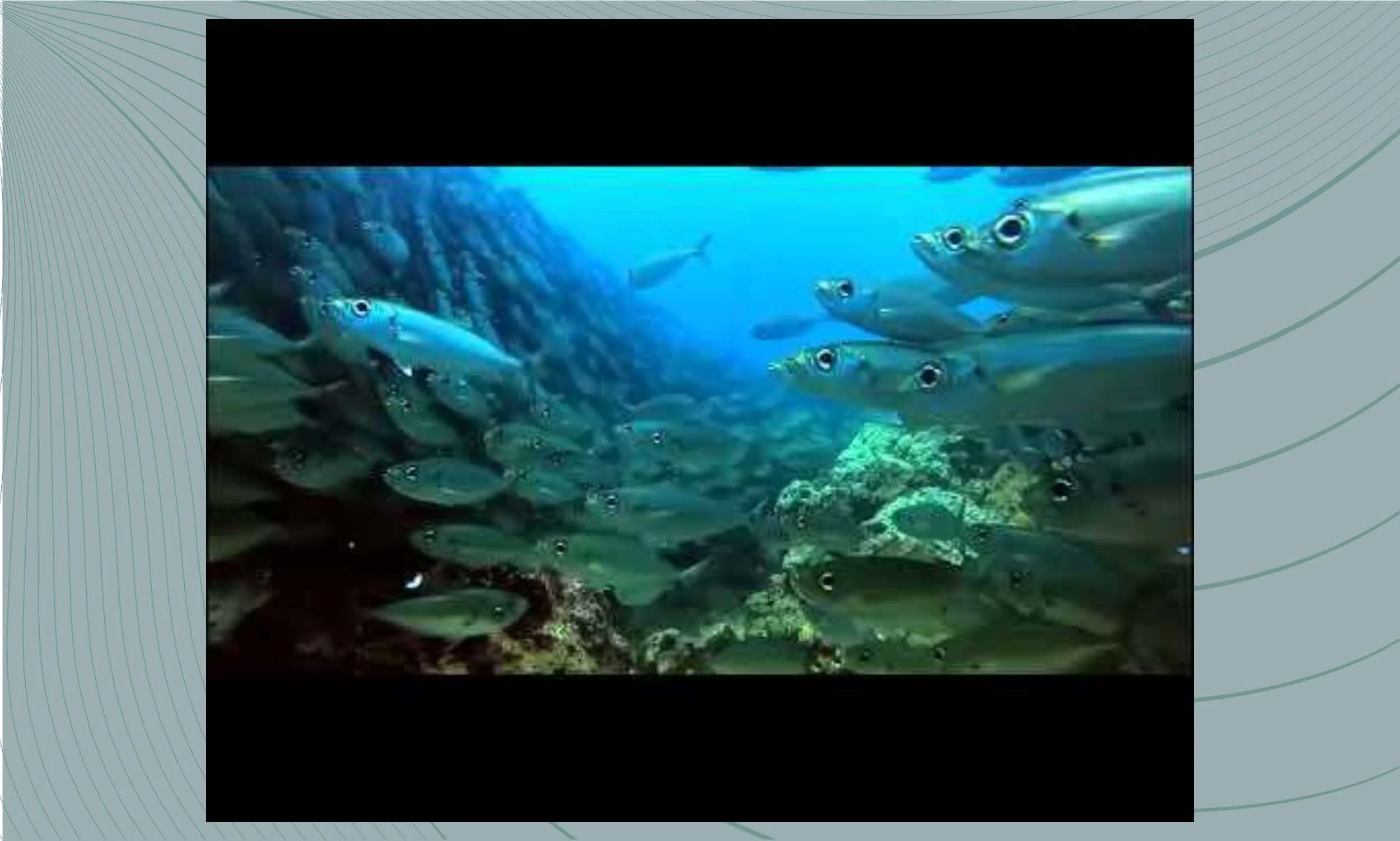 Final Fashion Forecast Slides_Page_05.jpg