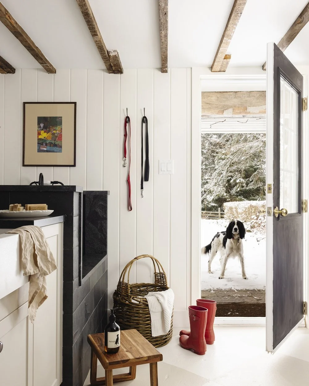 Farmhouse mudroom with built-in dog wash station, leash hooks, and an open door to a snowy yard, Erin Farmhouse by Megan Crosbie Design