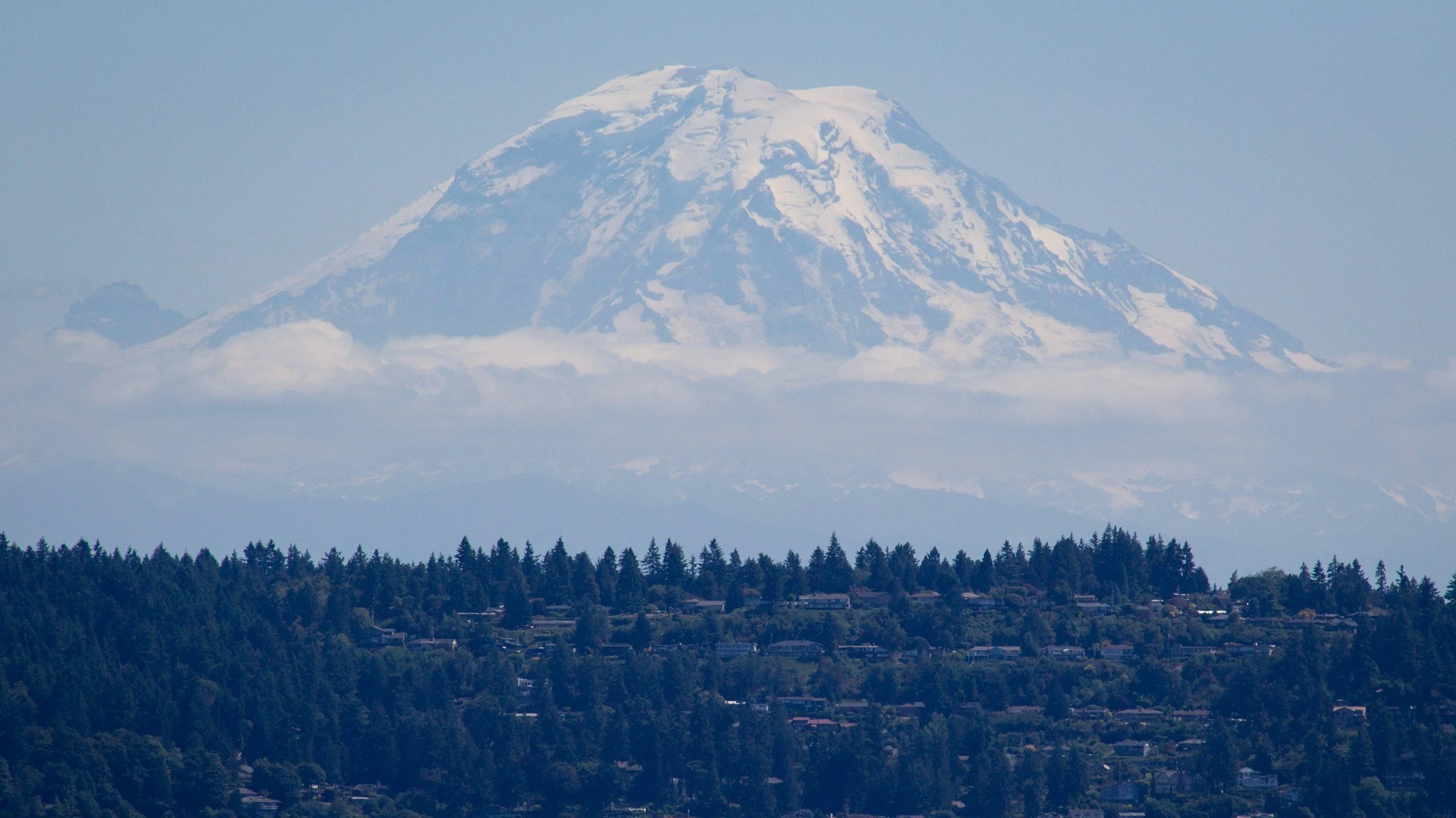 psychiatry services in Washington