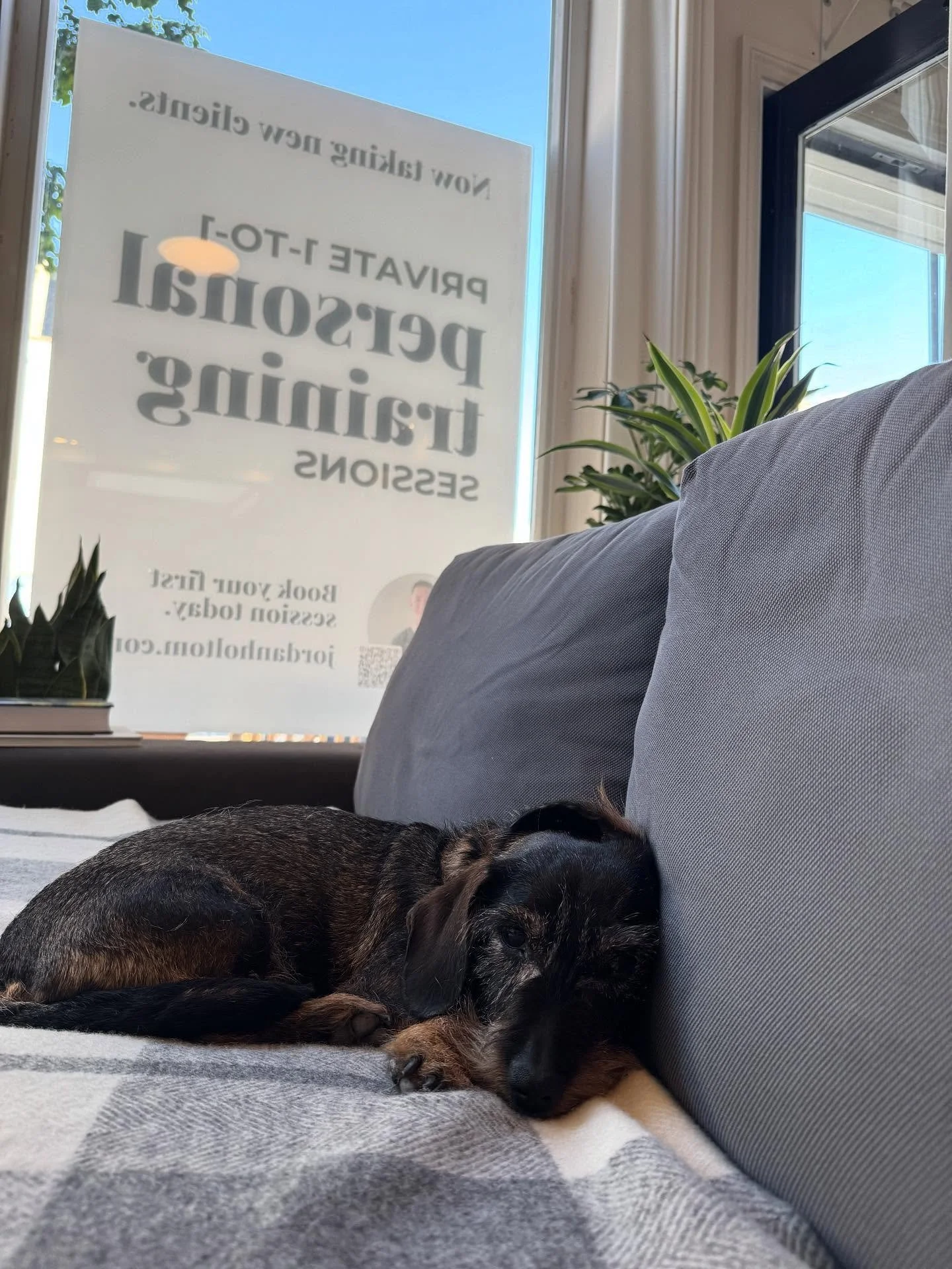 Not everyone comes for the exercise 😂 #clapham #battersea #dogsofclapham #dogsofbattersea #personaltrainer #personaltraining #claphamcommon #claphamjunction