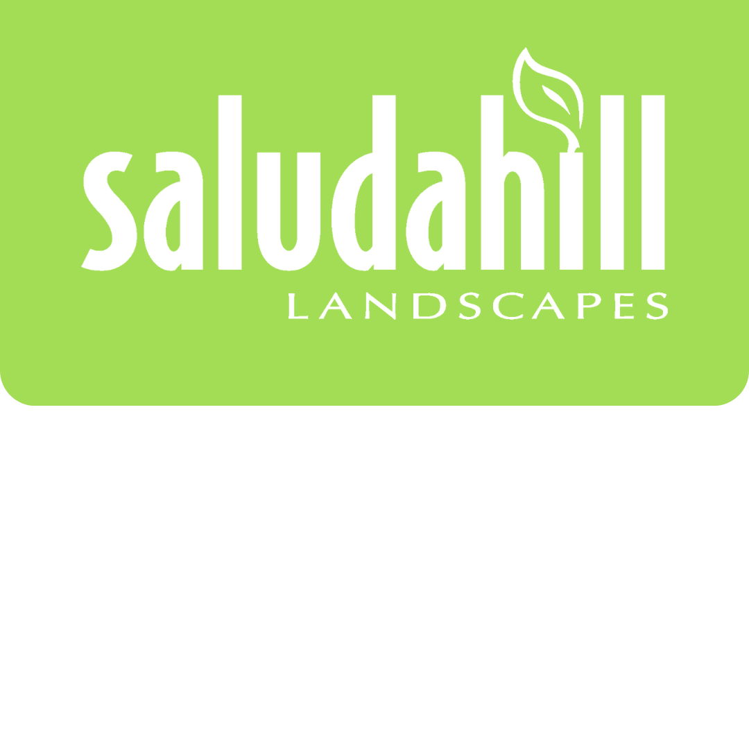 Saluda Hill Landscapes, a 2025 SC Top Workplace