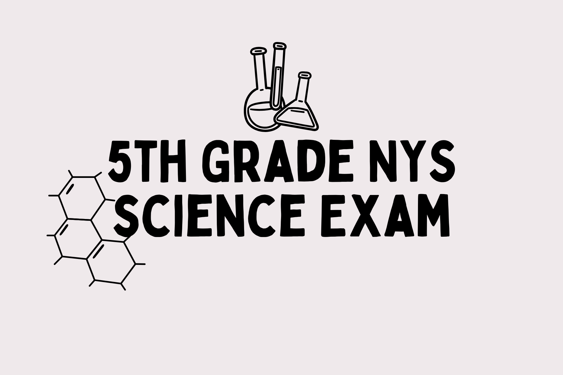 5th Grade NYS Science Exam