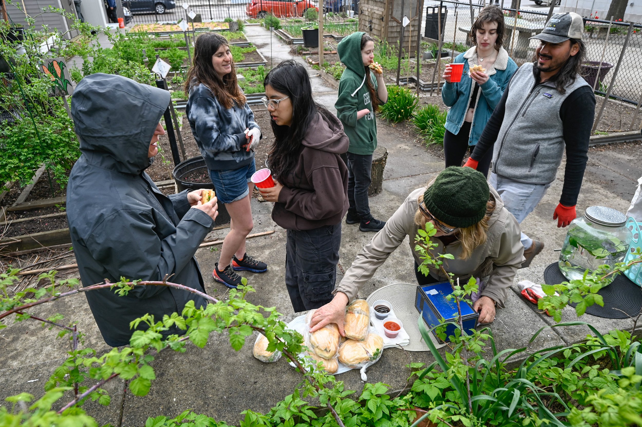 East Boston, MA: April 24, 2024 - At one of many weekly volunteer work parties, gardeners take a break from tending to the plant life to eat sandwiches from a local Vietnamese restaurant. Eastie Farm provides dinner at every one of these work parties