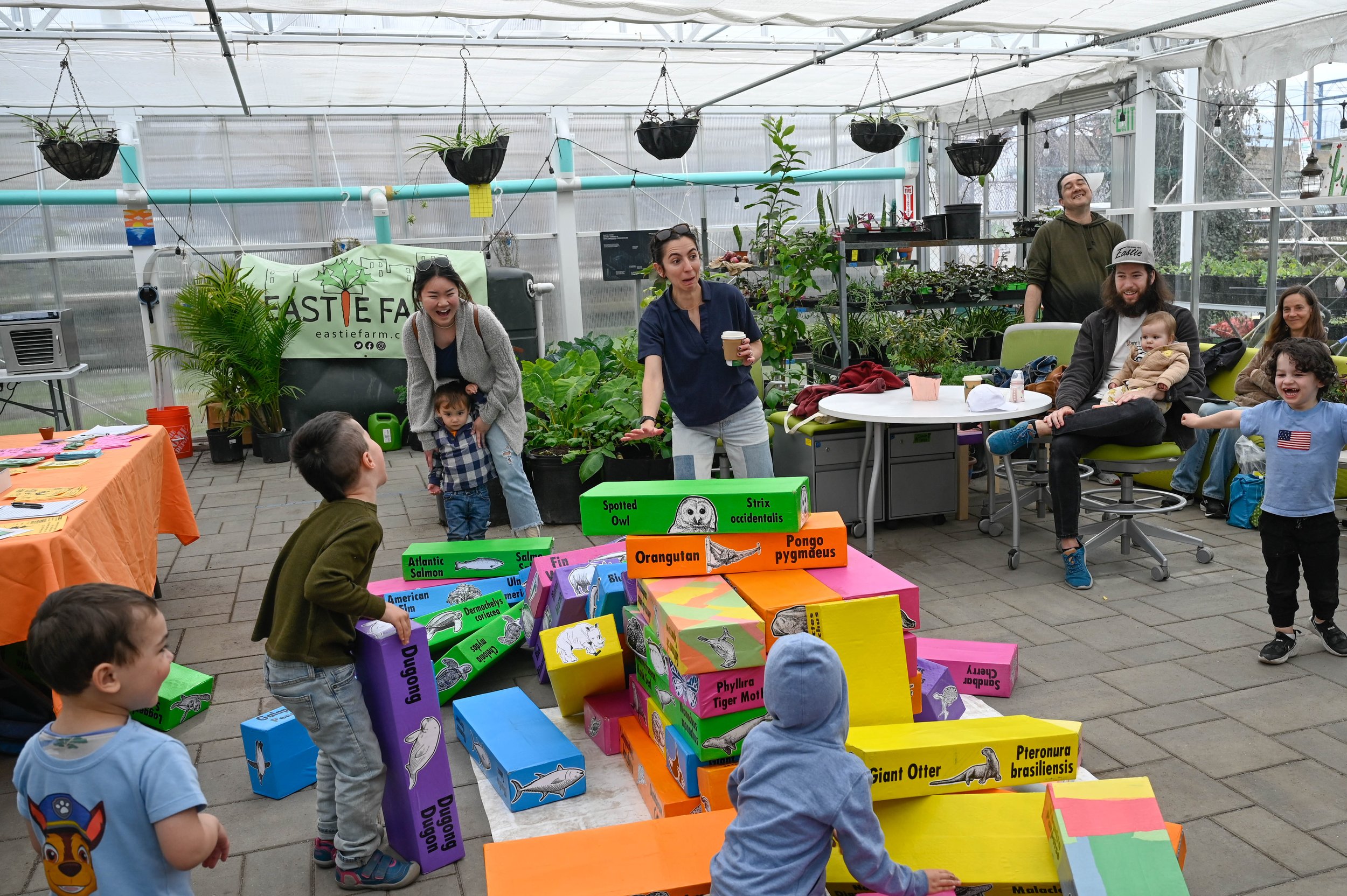 East Boston, MA: April 21, 2024 - Climate activist group Extinction Rebellion holds an event inside the Eastie Farm Greenhouse. Families gather to play “Extinction Jenga”, a volunteer-made game created to help teach the fragility of ecological balanc