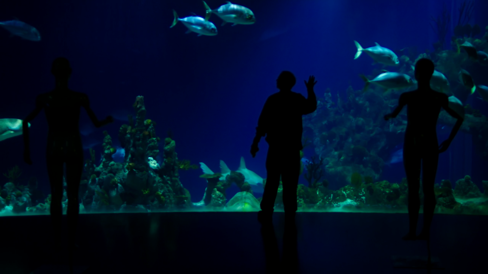 Screenshot (100).png