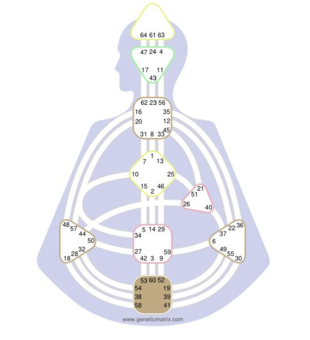 Workshop: Navigating the Pressure Portal of the Root Center