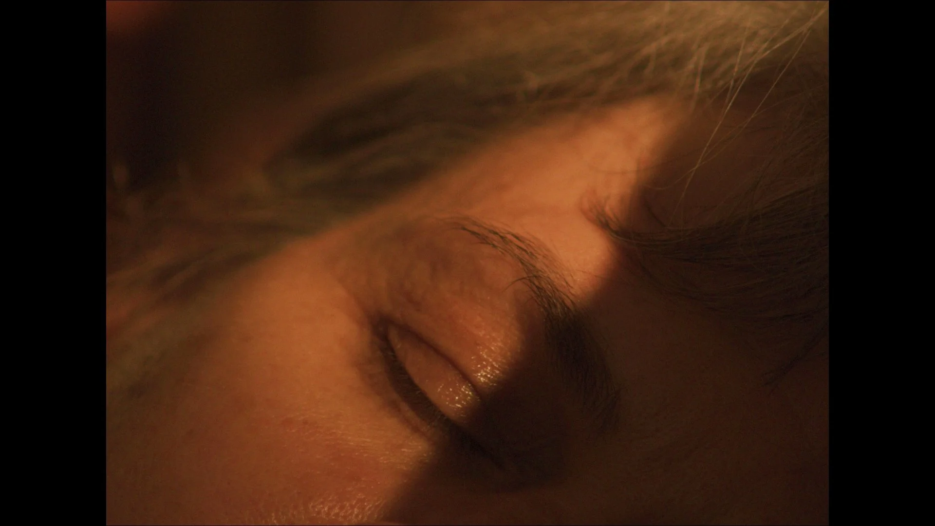 Daffodils in December