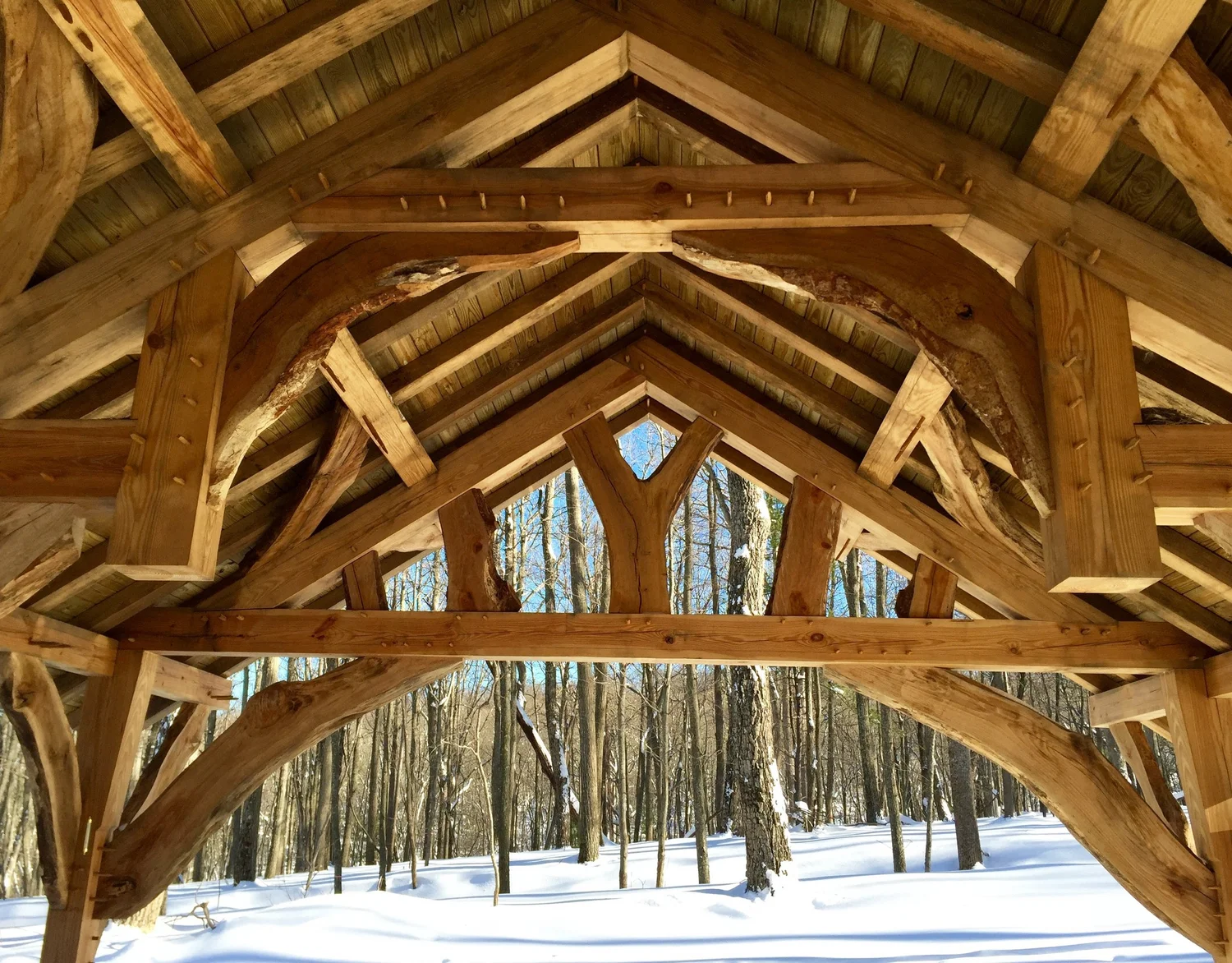 Timber Feature Frame Gallery 3 — FINCH WOODWORKS | Custom Timber Frames