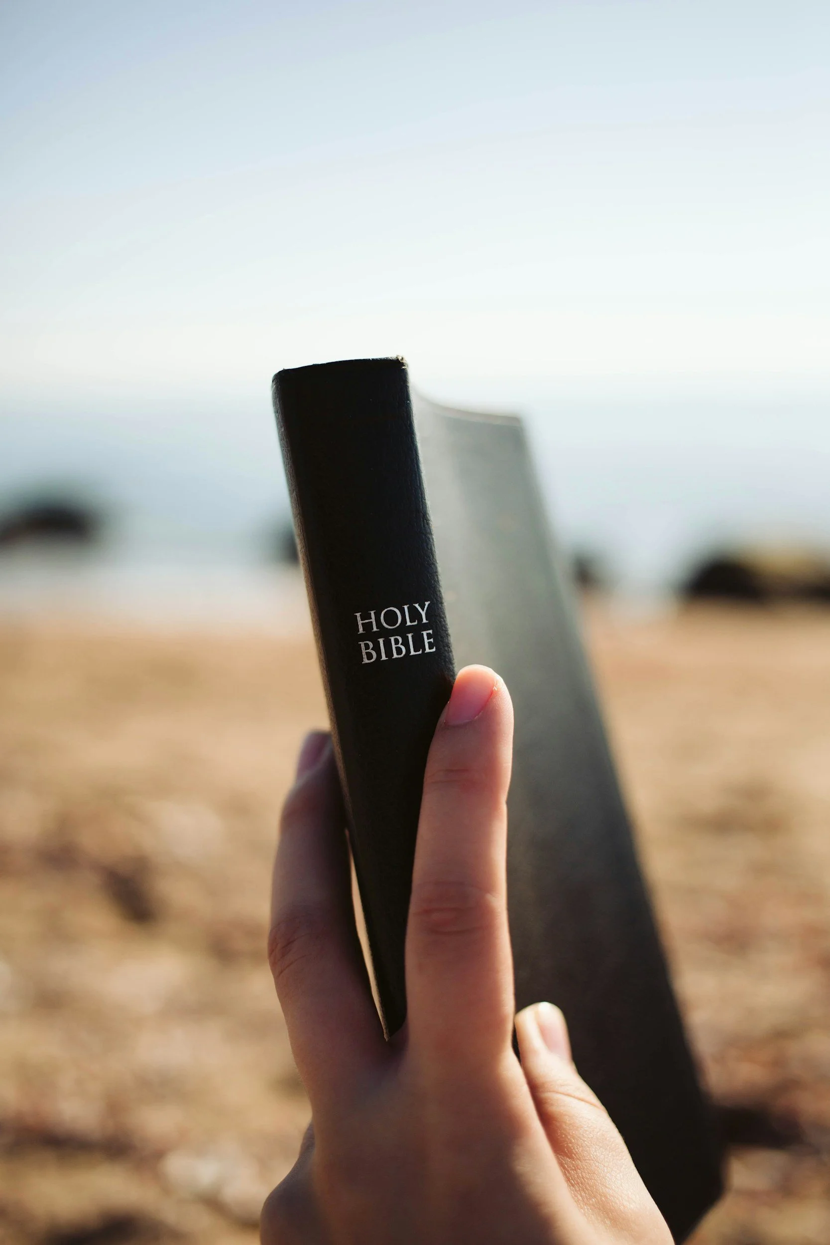 Healing Beyond Survival: What the Bible Teaches About Wholeness