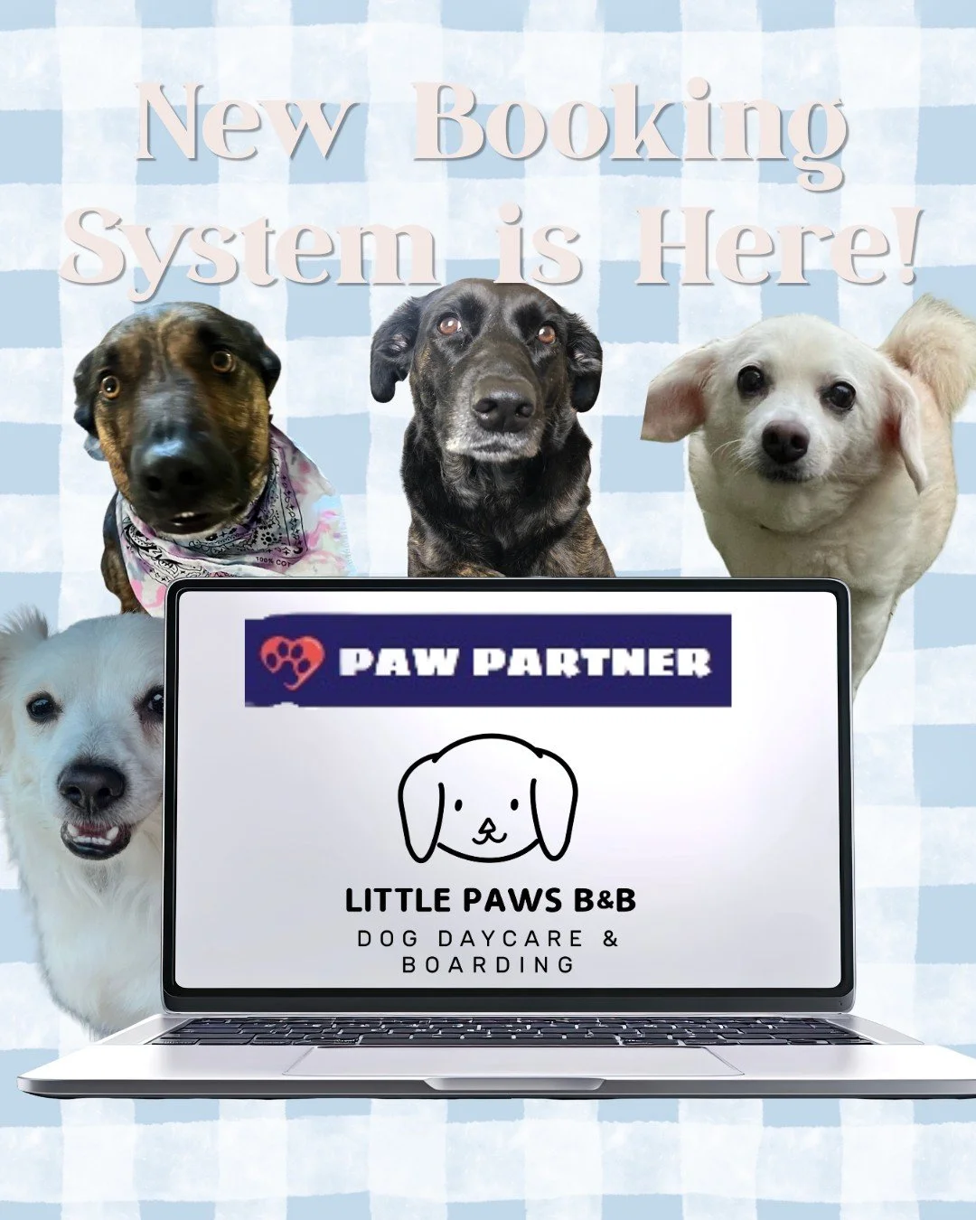 IT&rsquo;S HERE!! 🐾🎉

So excited to launch our brand new reservation system on Paw Partner! Managing your pet's stays just got easier than ever (mostly for me :) )

How to get set up:
1️⃣ Check your email! Click the personalized link we sent you to