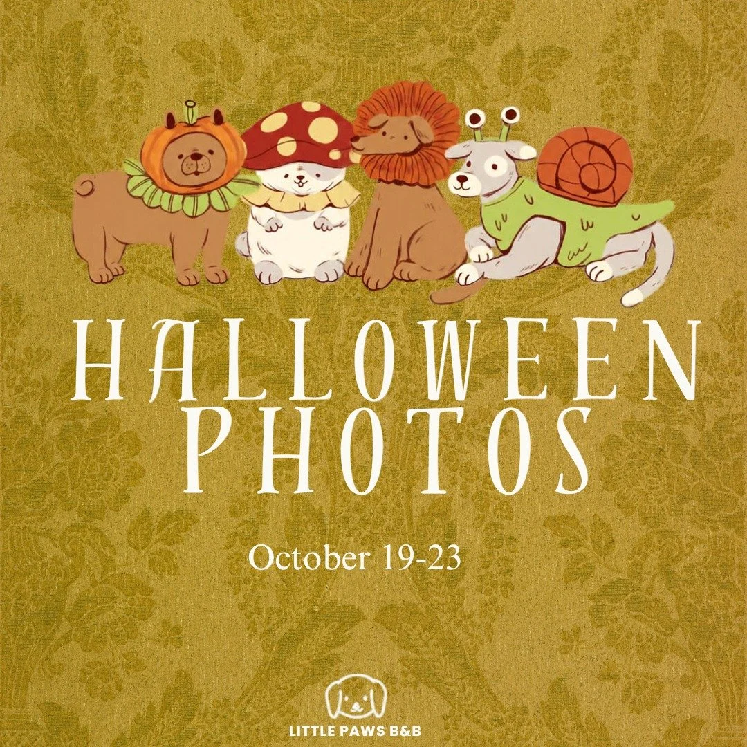 Book that week and bring your costume!!